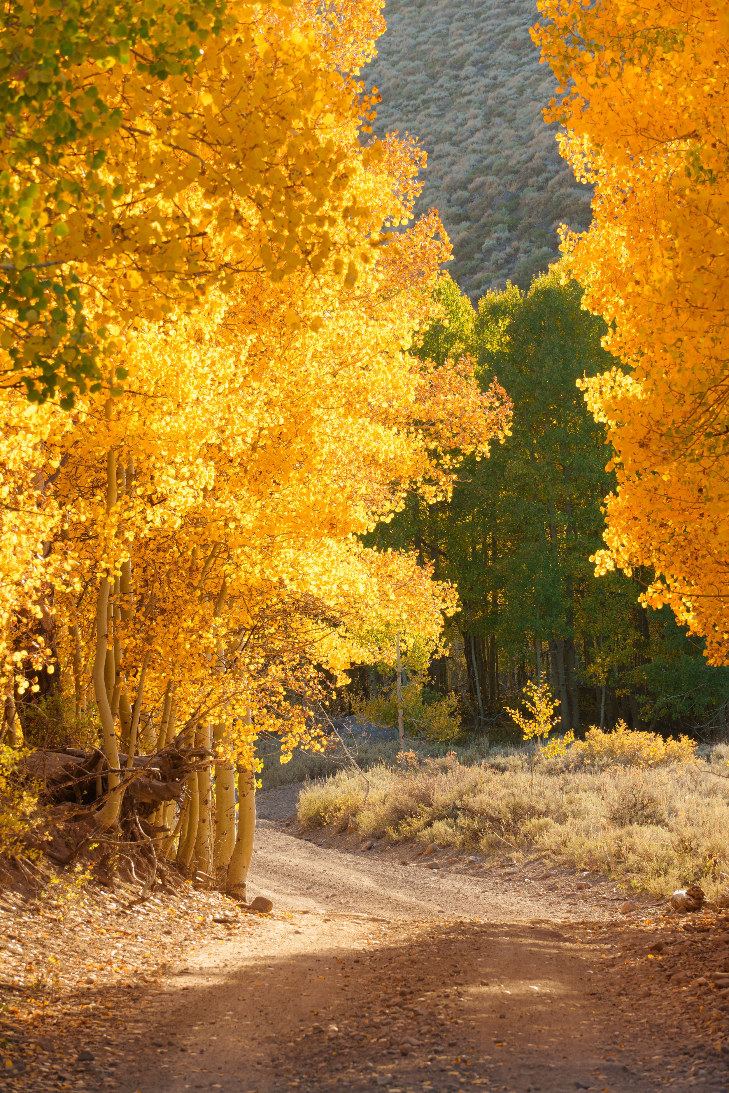 Patrick Sparks-27.jpg