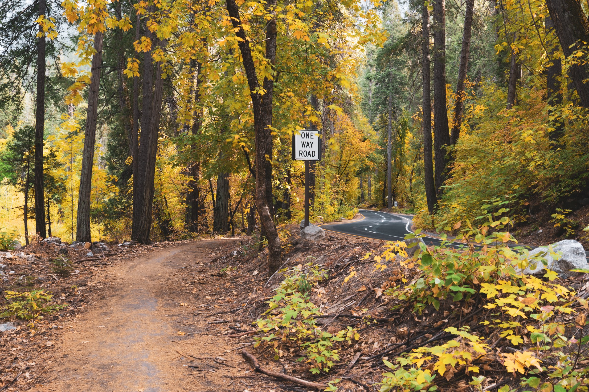 Patrick Sparks-32.jpg