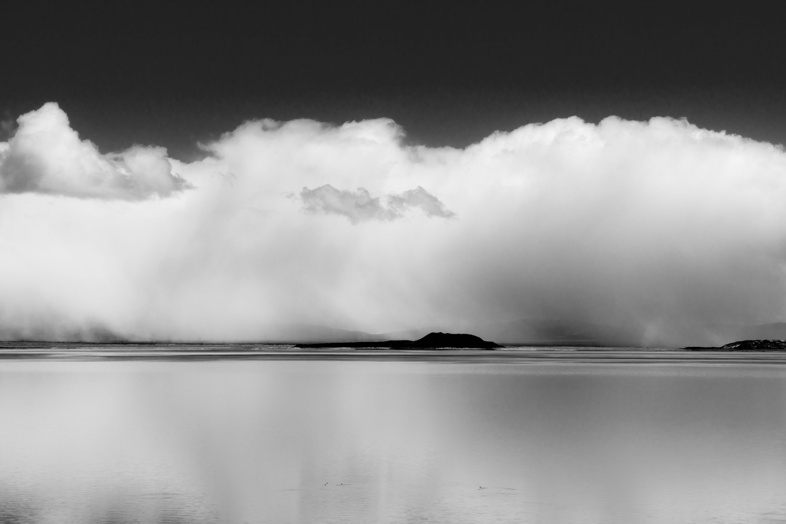 _DSC1101.jpg
