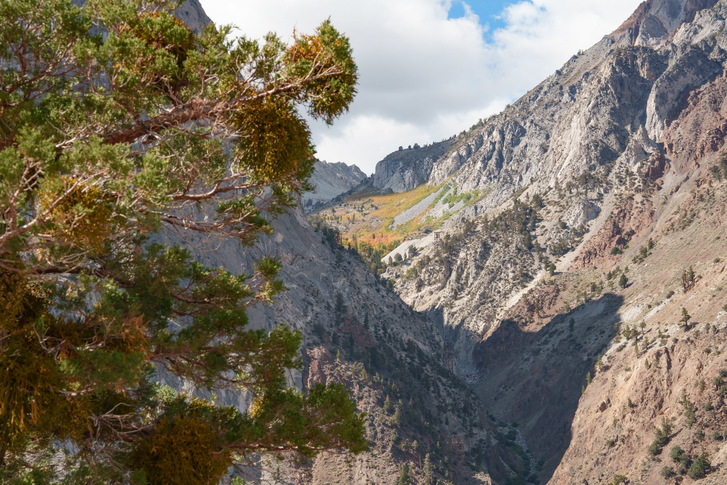 Patrick Sparks-2.jpg