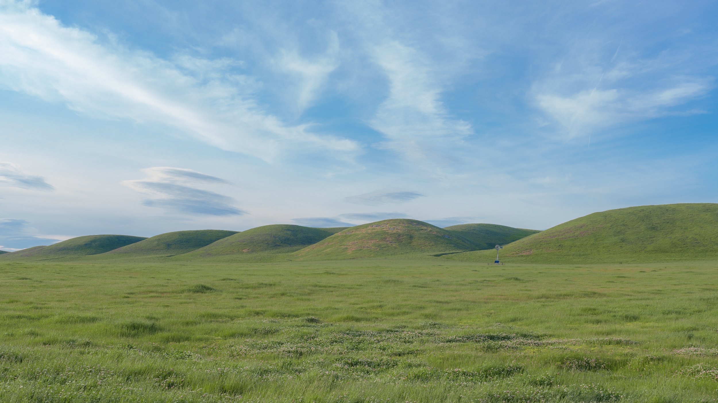 Patrick Sparks-52.jpg