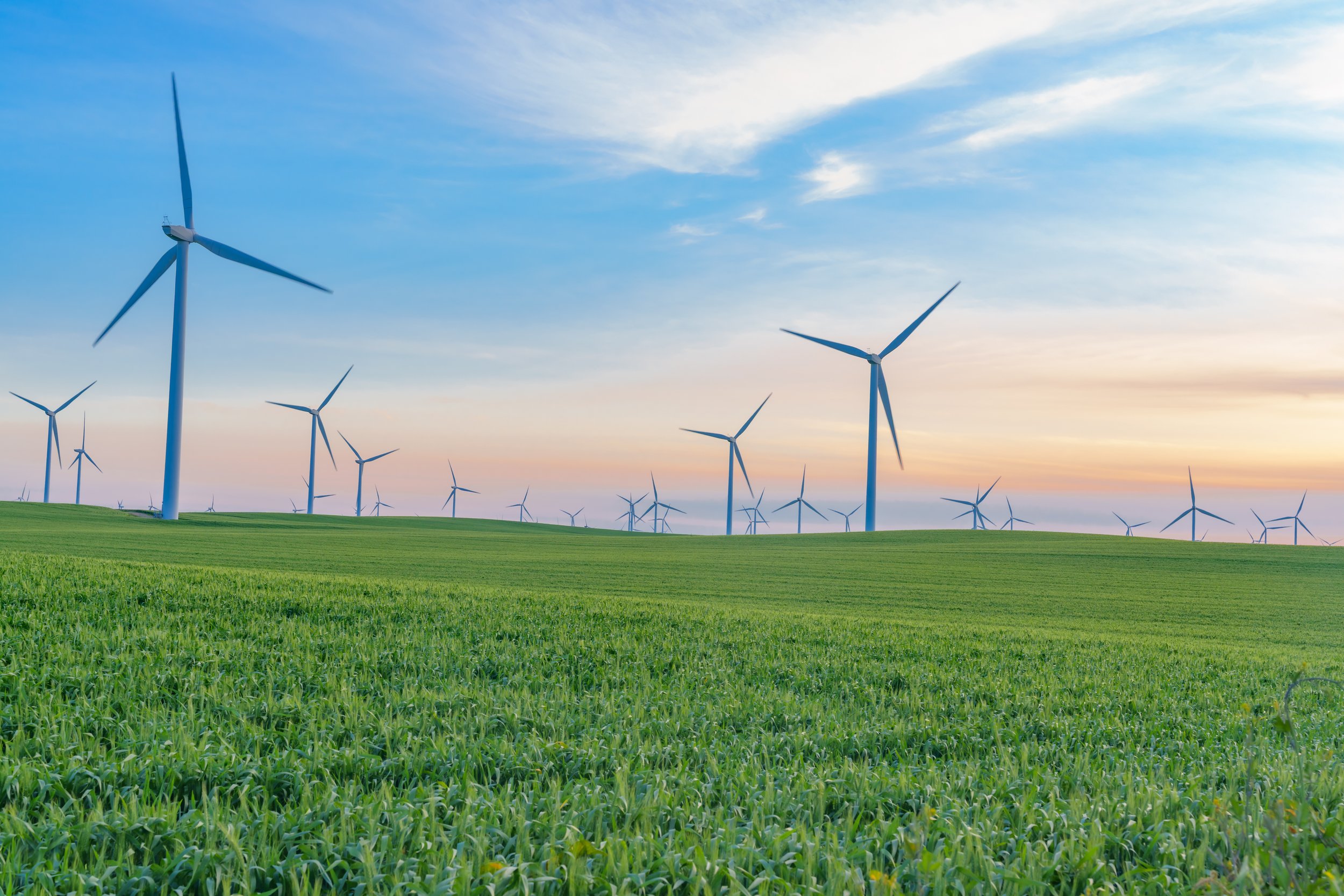 Patrick Sparks-54.jpg