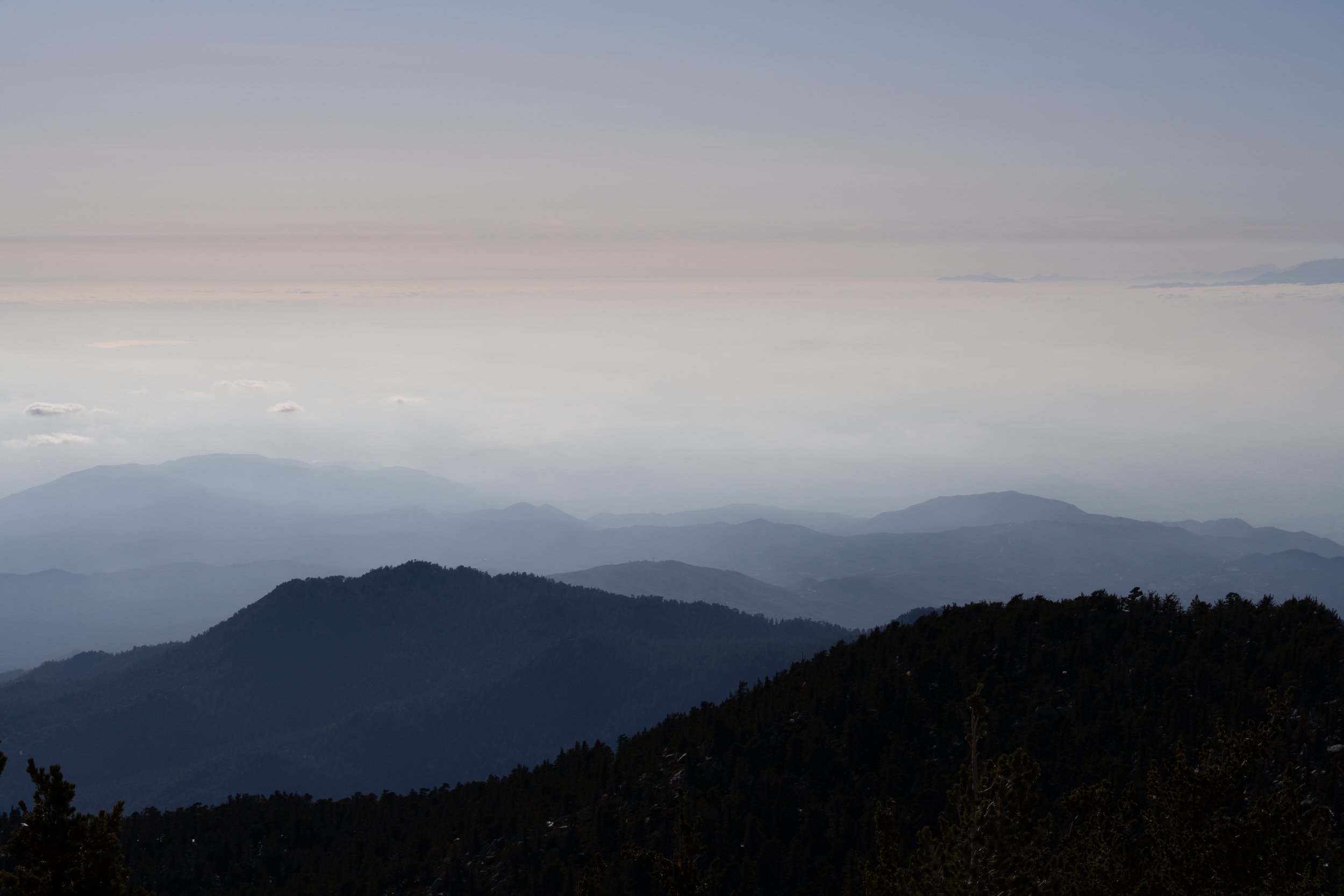 San Jacinto and Palm Desert