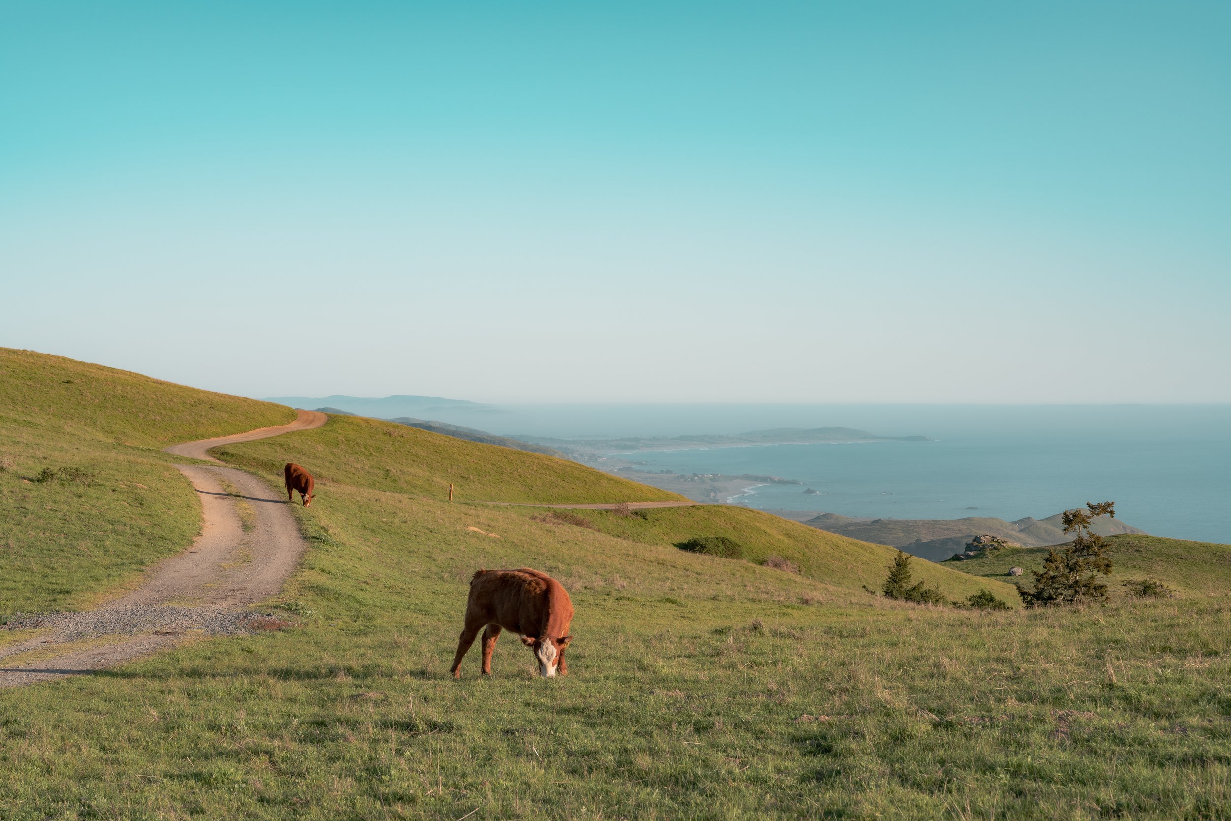 Patrick Sparks-61.jpg