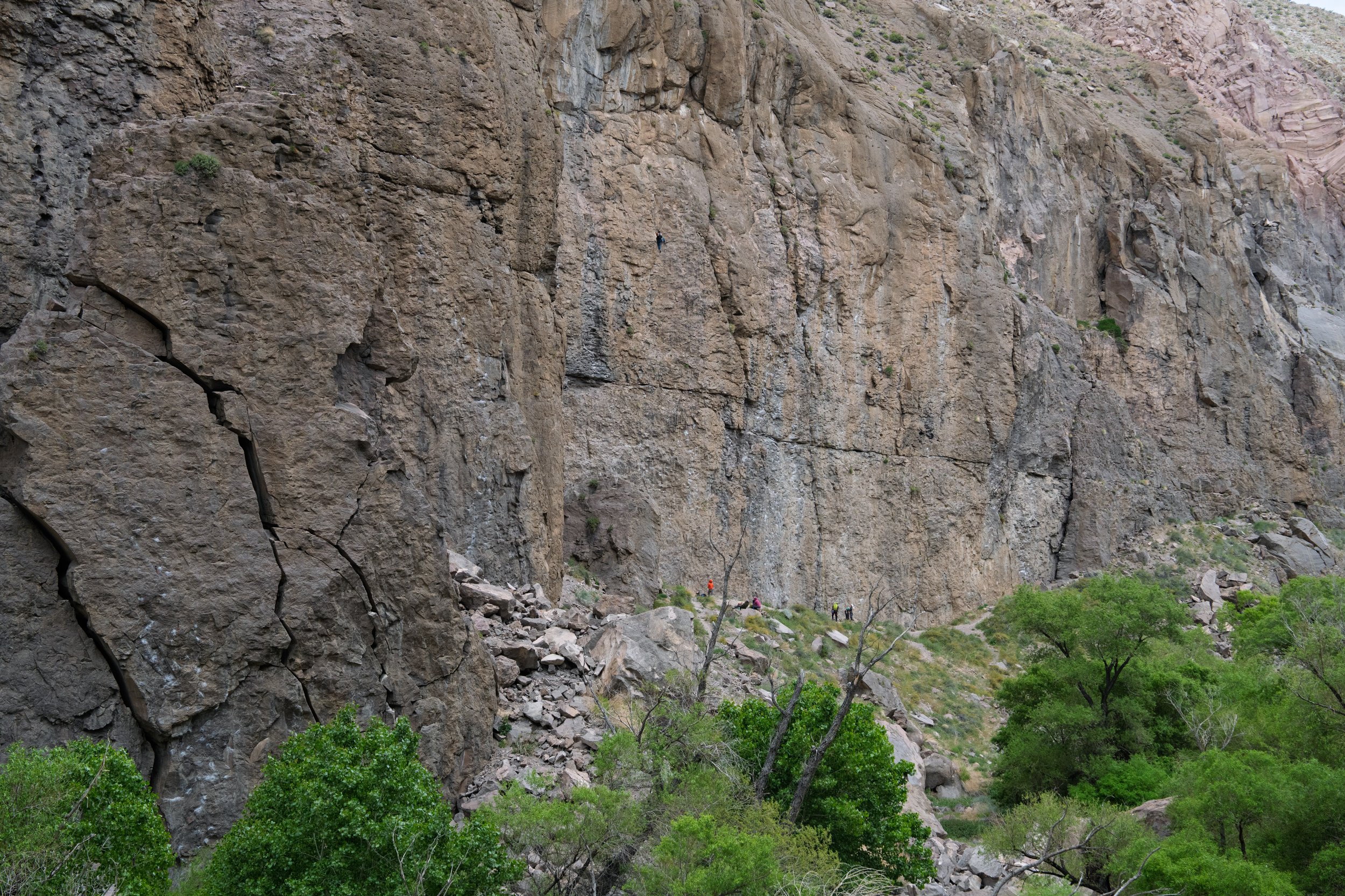 _DSC9944.jpg