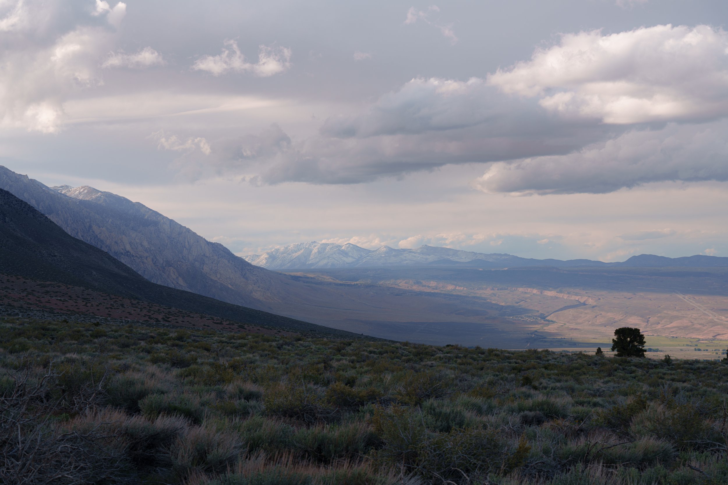 _DSC0943.jpg