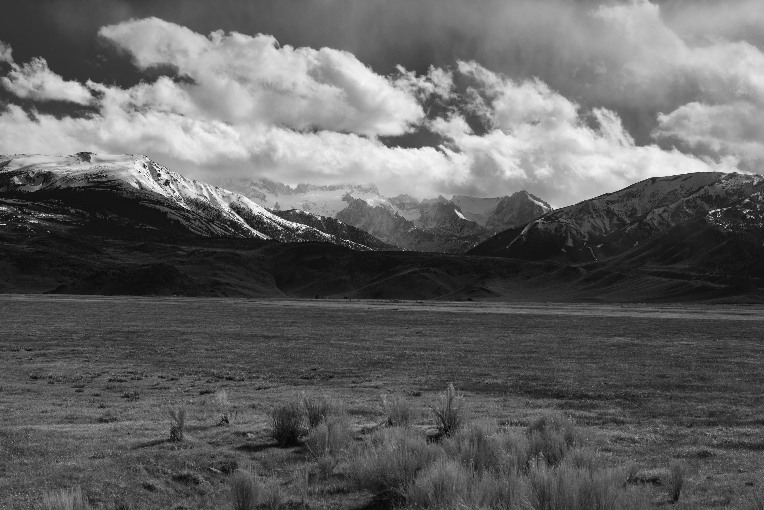 _DSC9737.jpg