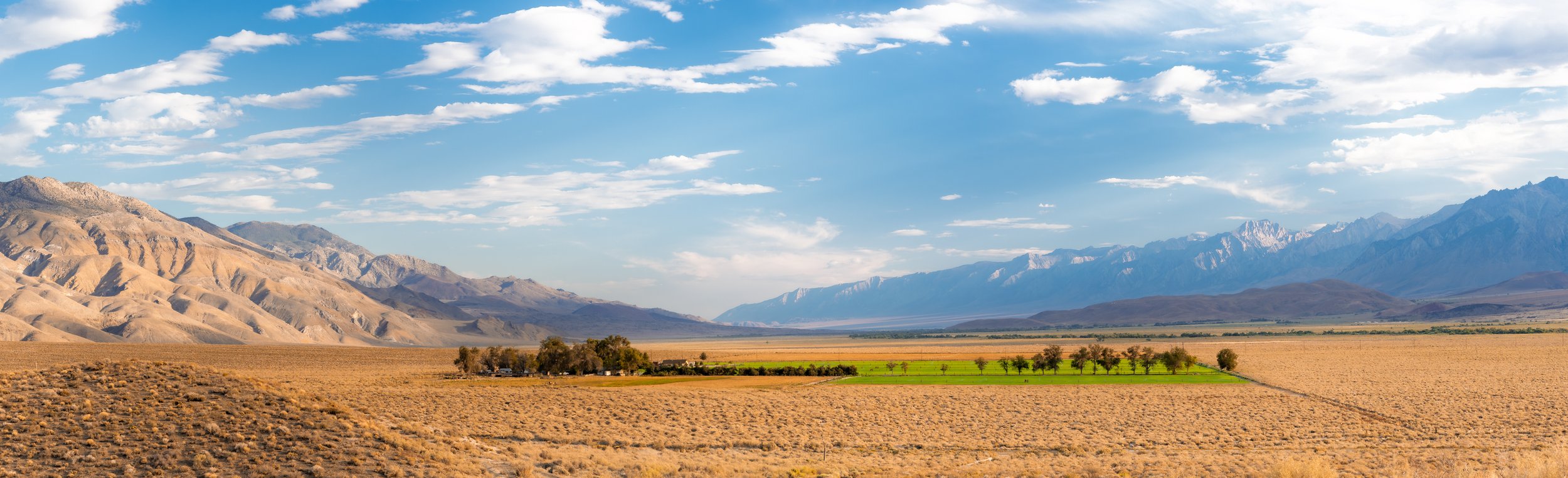 Bristlecone Pine Forest & Owens Valley