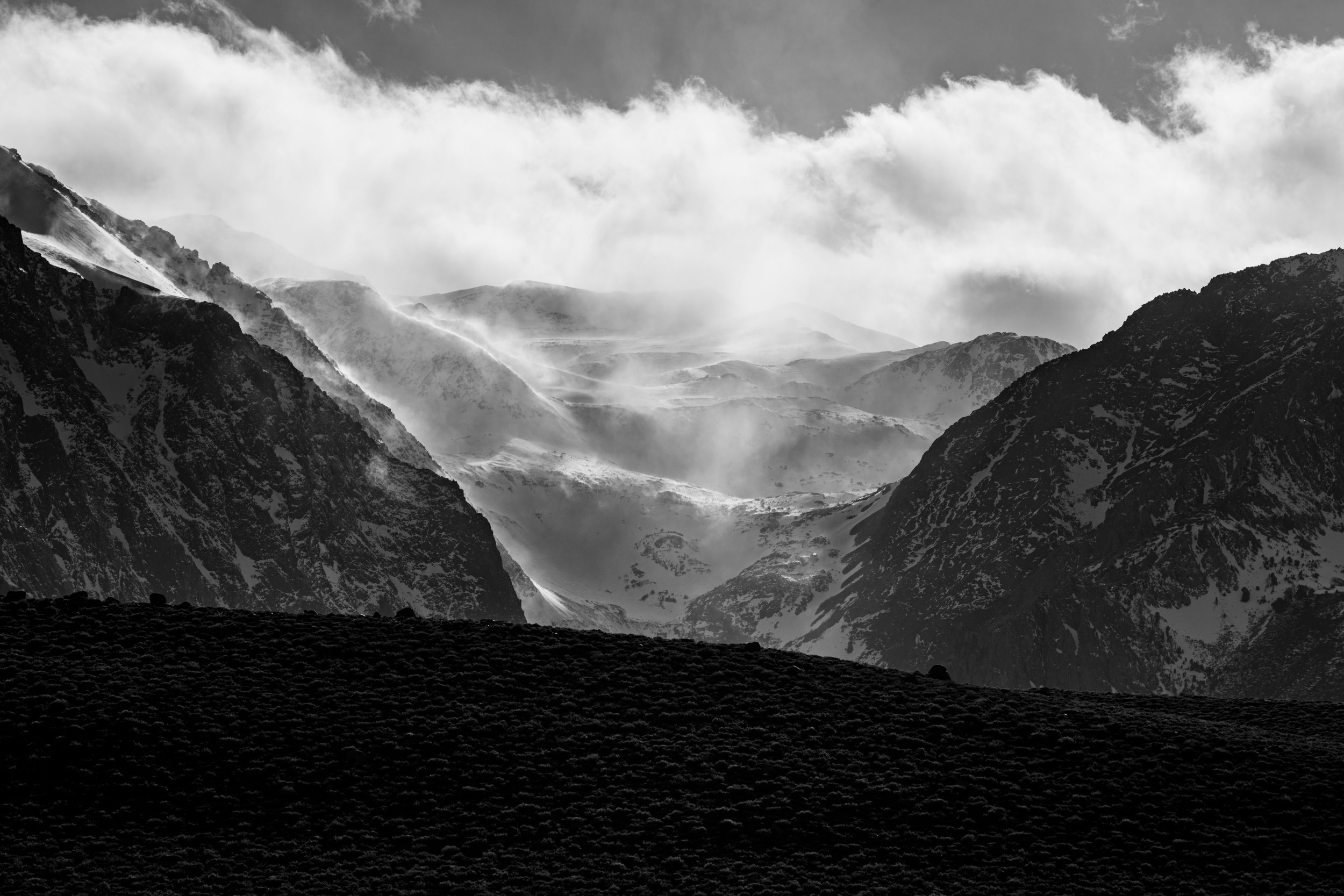 _DSC9768.jpg