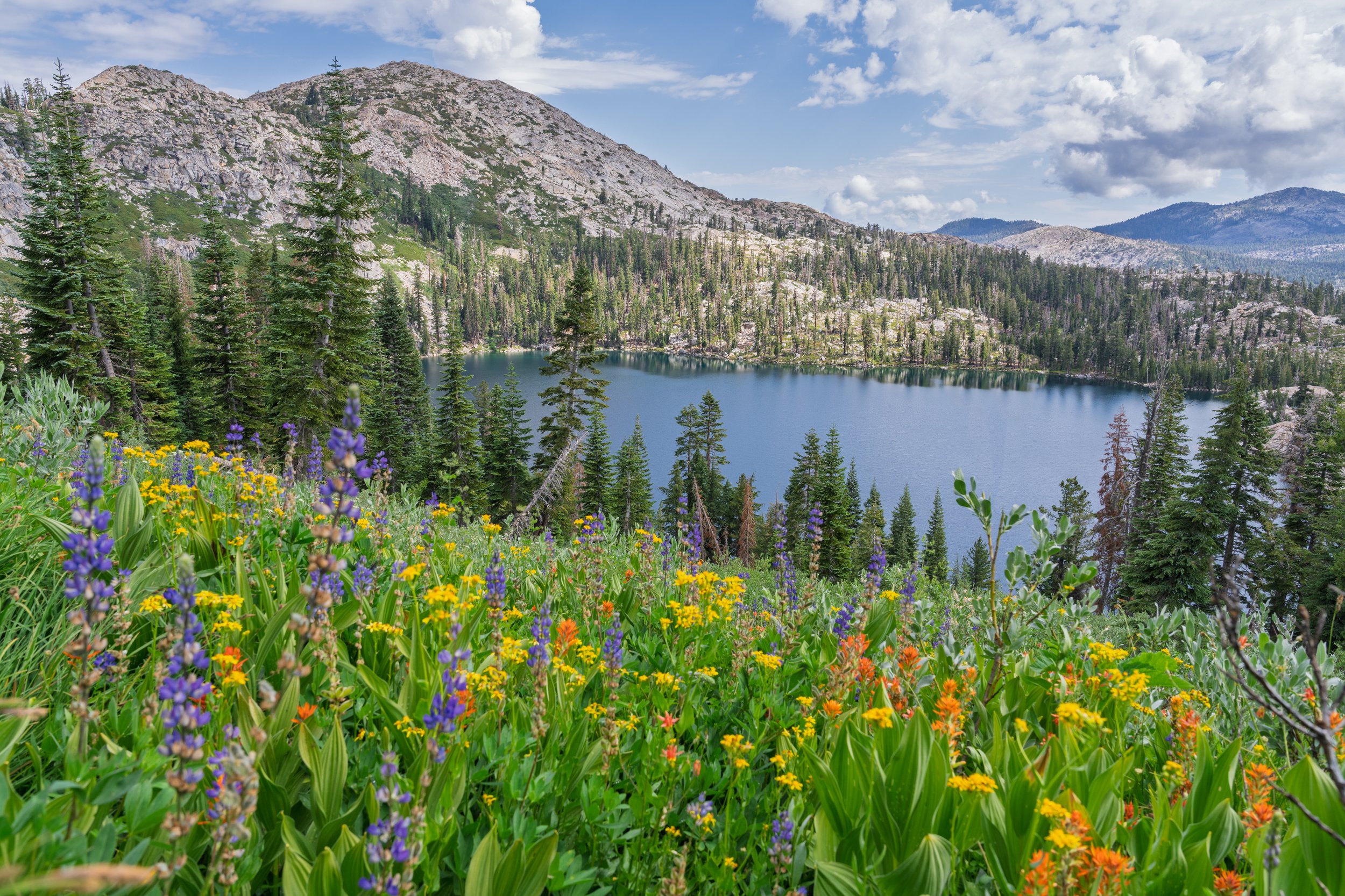 Patrick Sparks-89.jpg