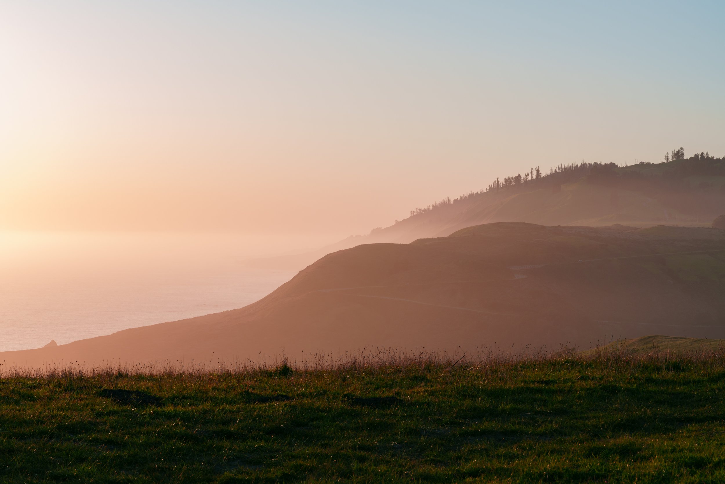 Patrick Sparks-65.jpg