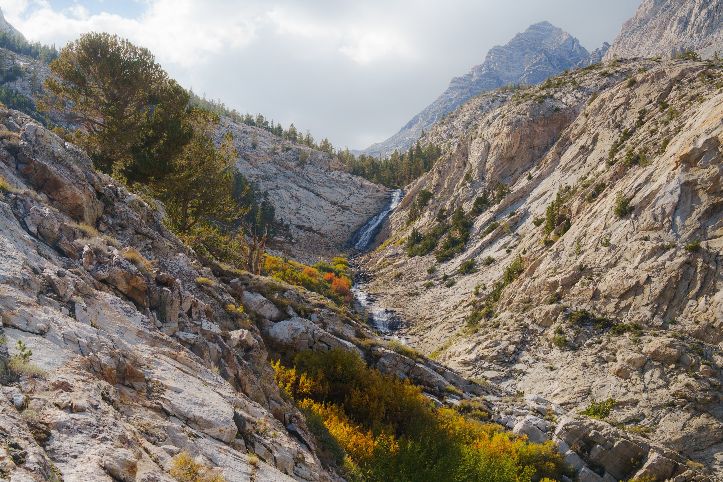 Patrick Sparks-3.jpg