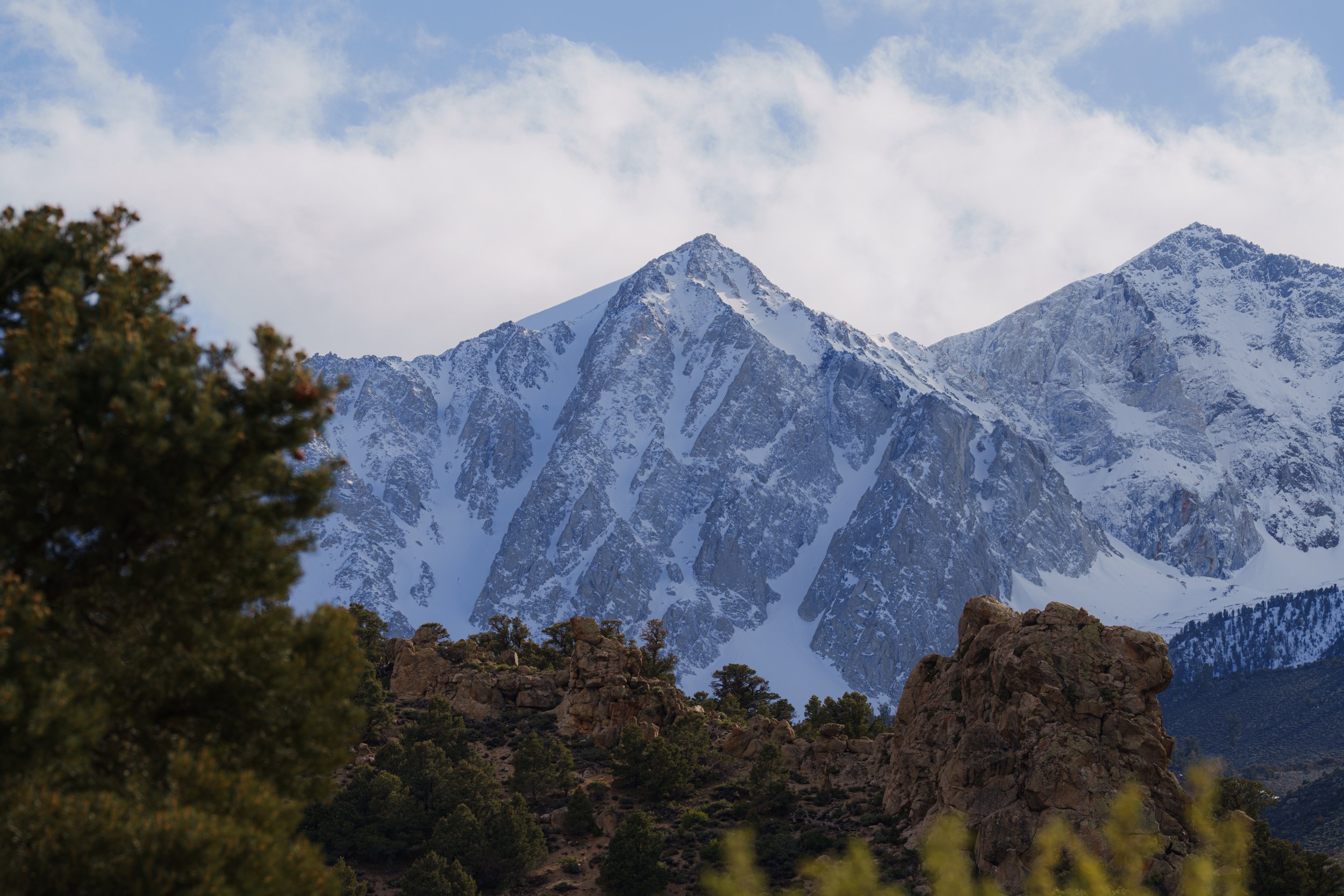 _DSC0795.jpg