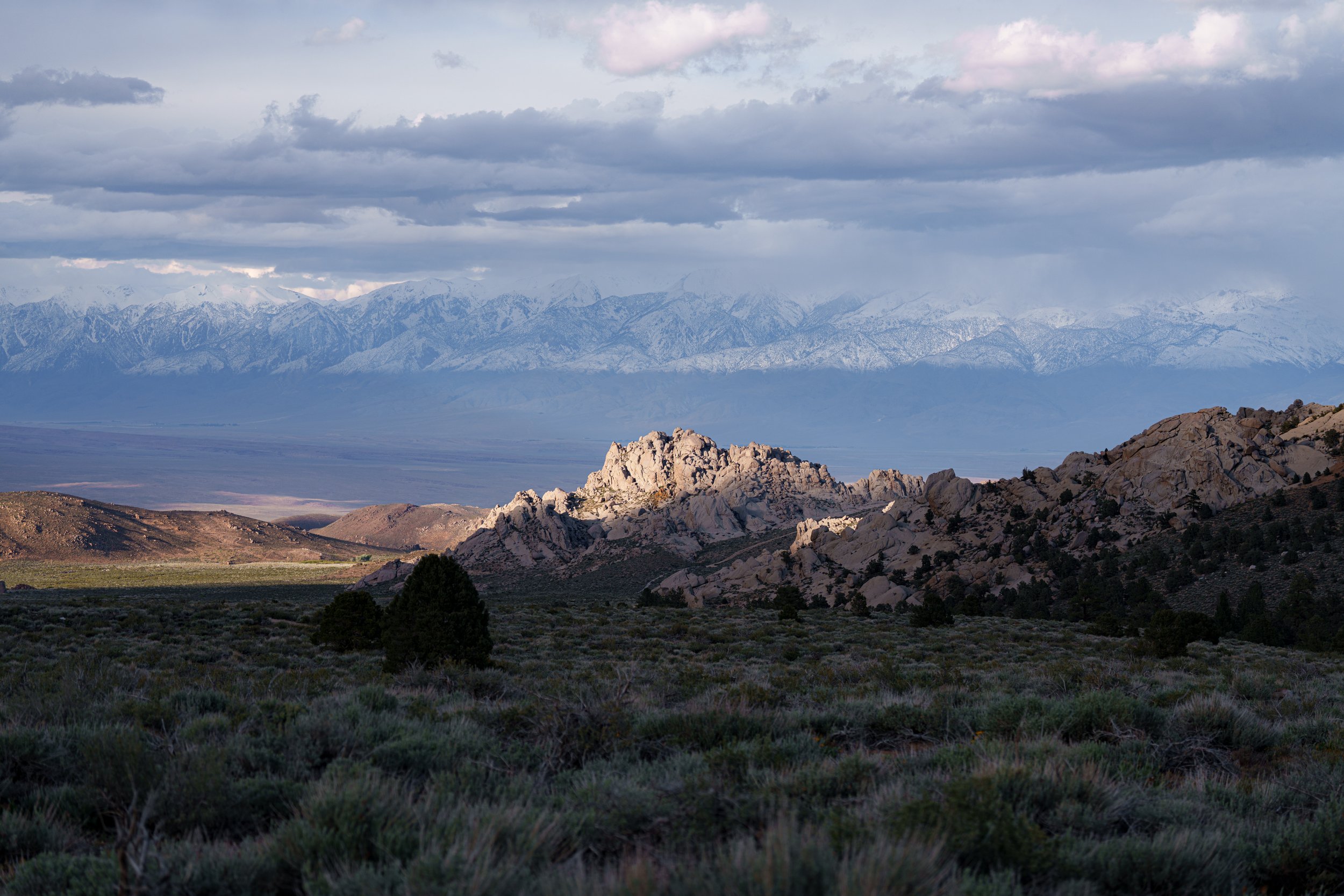 _DSC0938.jpg