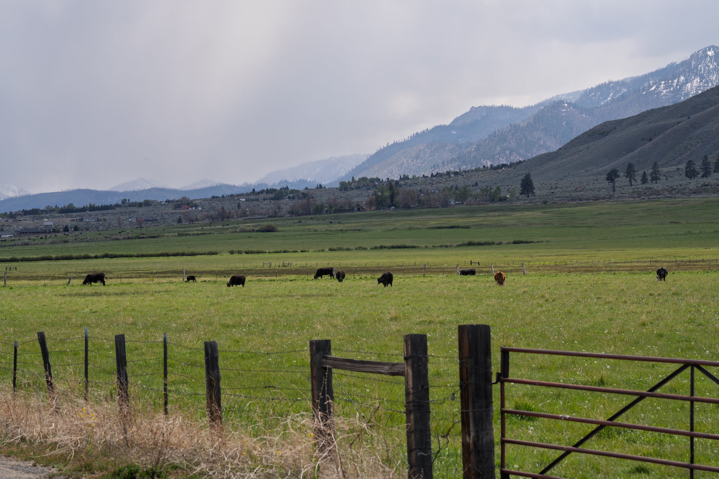 _DSC1150.jpg