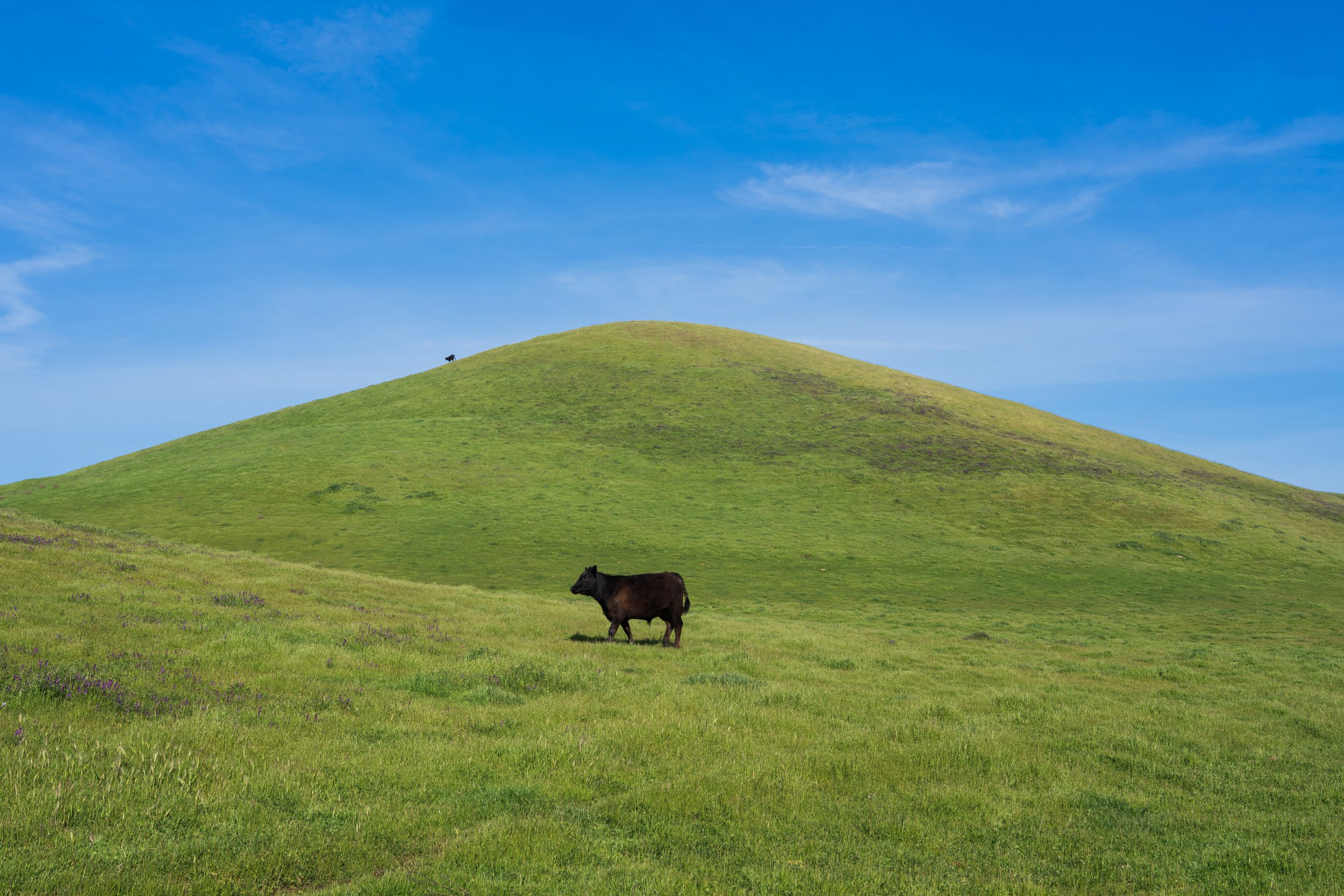 Patrick Sparks-51.jpg