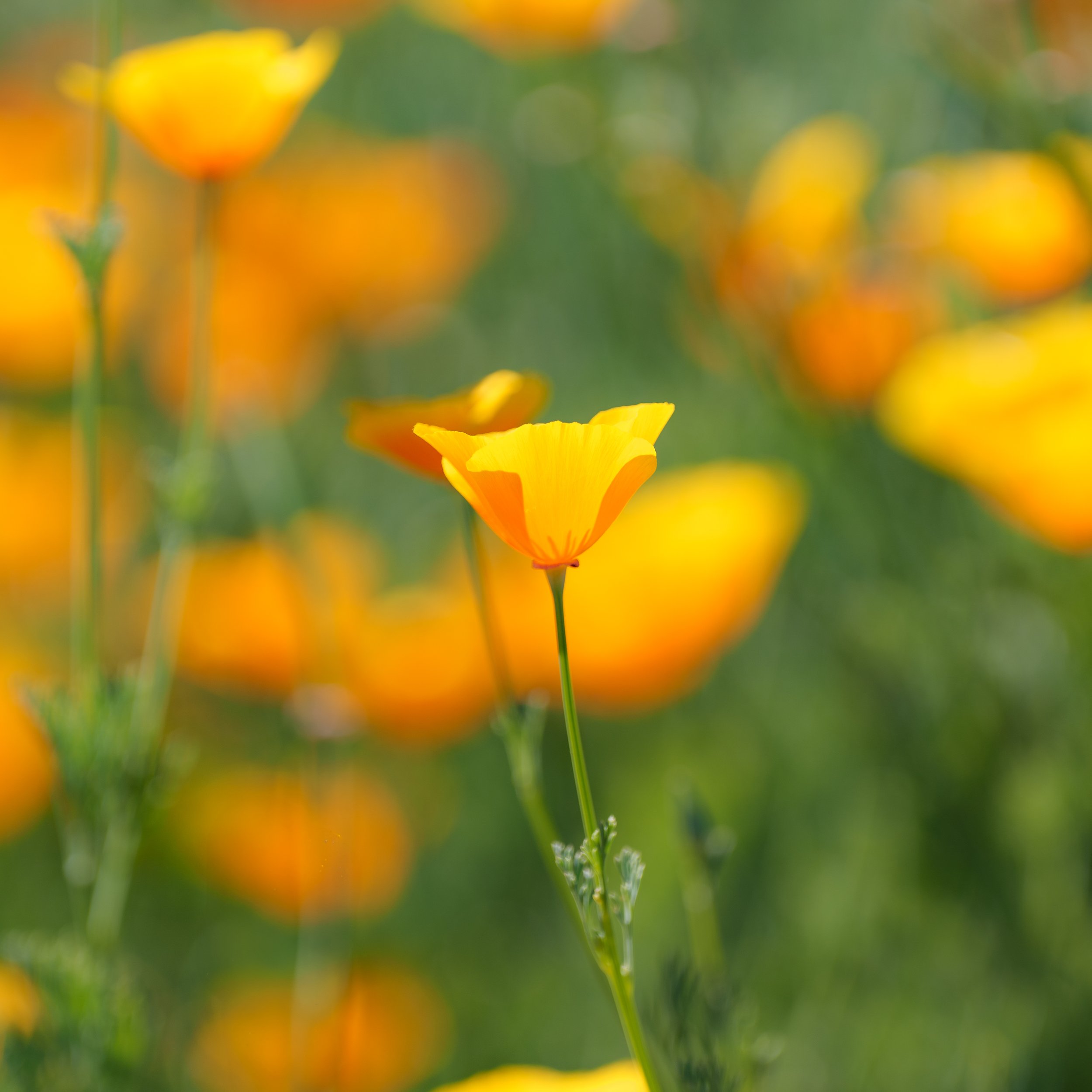 Patrick Sparks-92.jpg