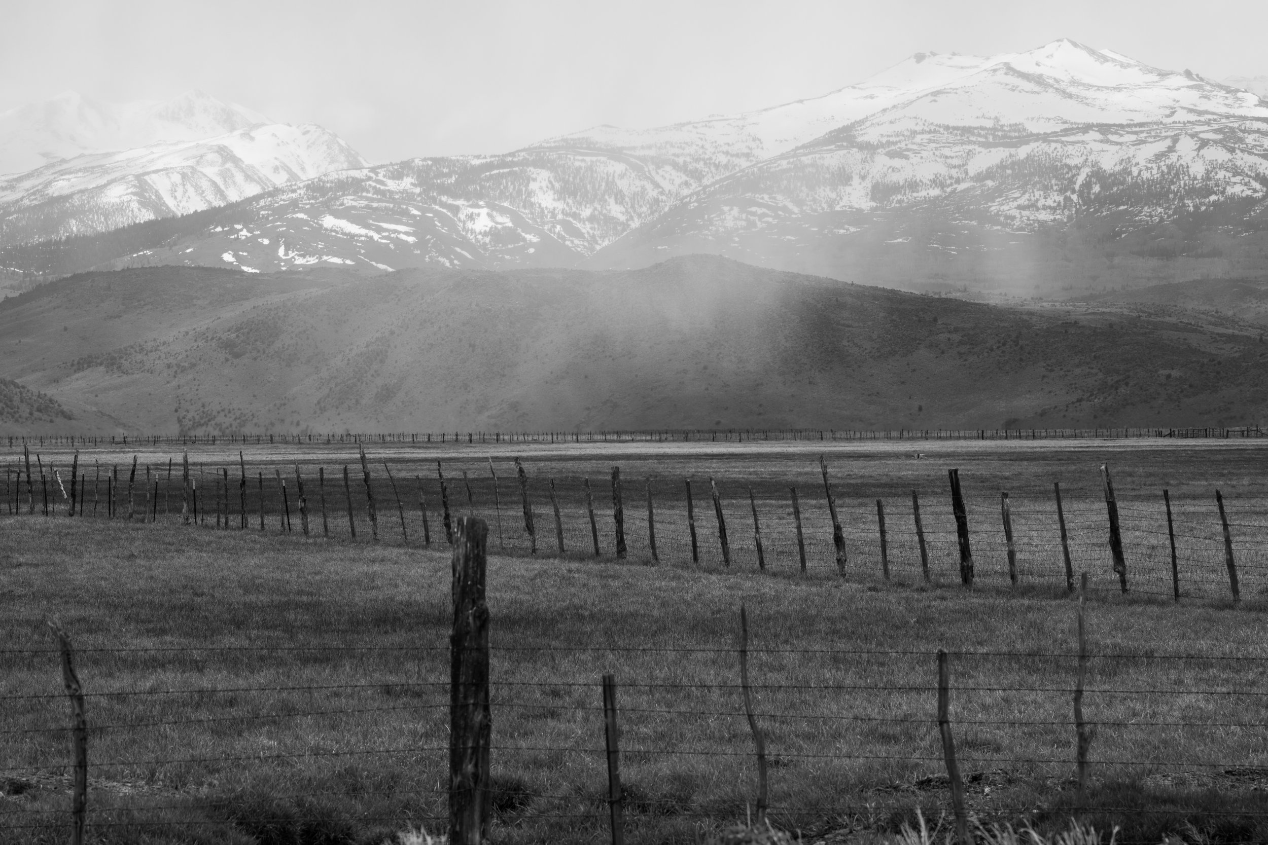 _DSC1131.jpg