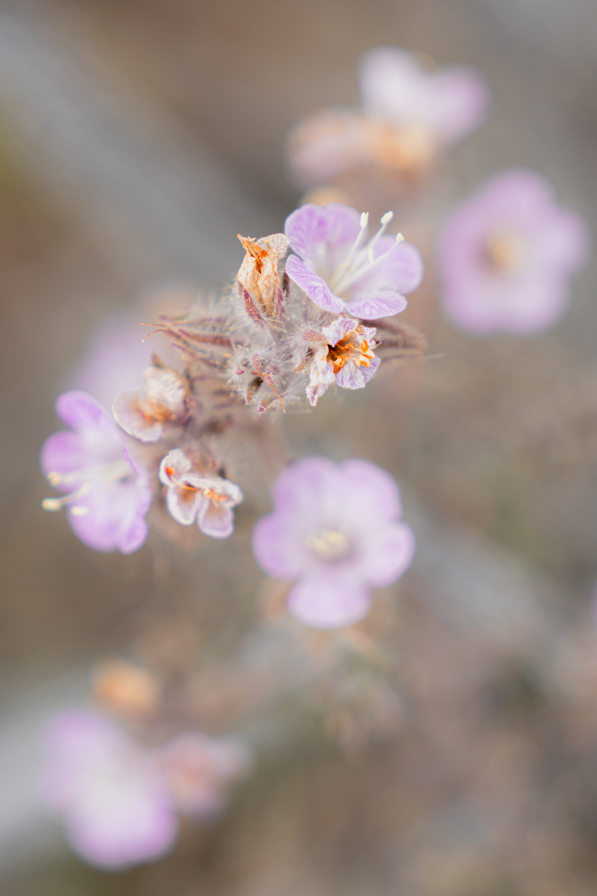 _DSC9986.jpg