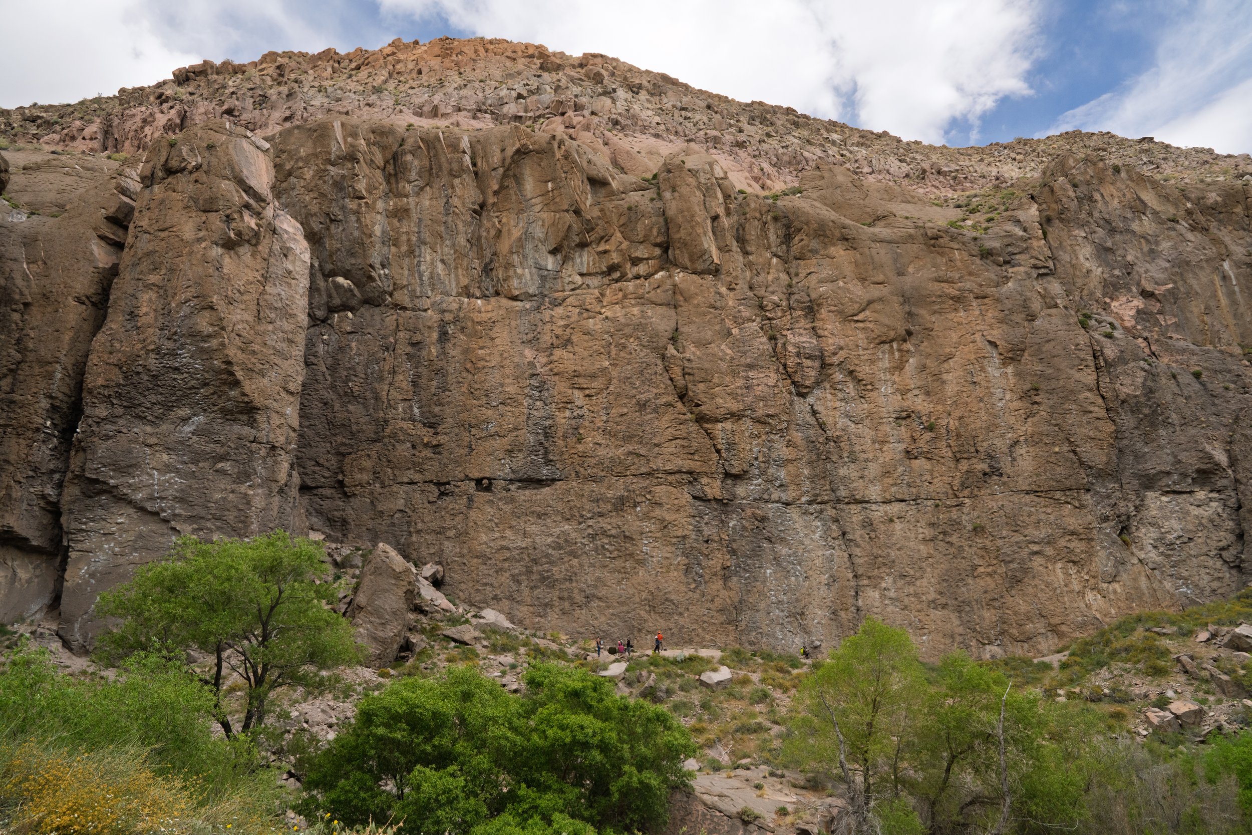 _DSC9950.jpg