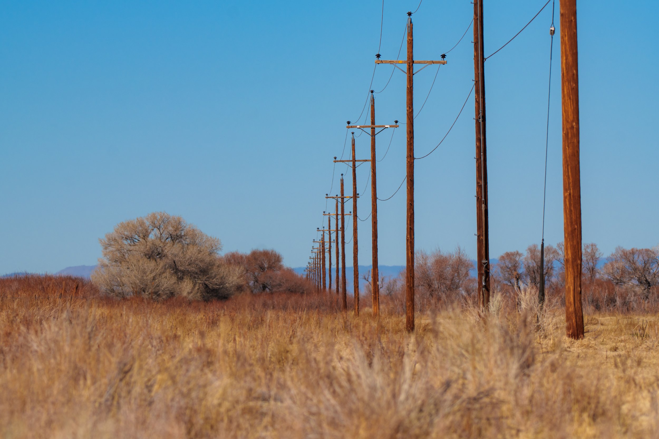 Patrick Sparks-67.jpg