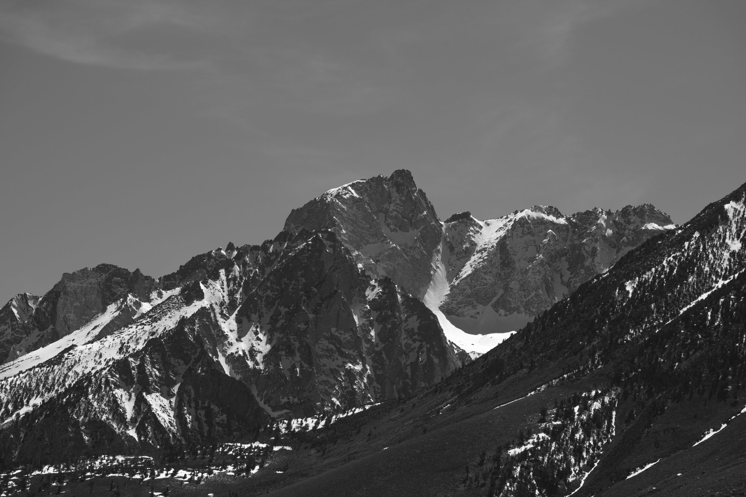 _DSC9772.jpg