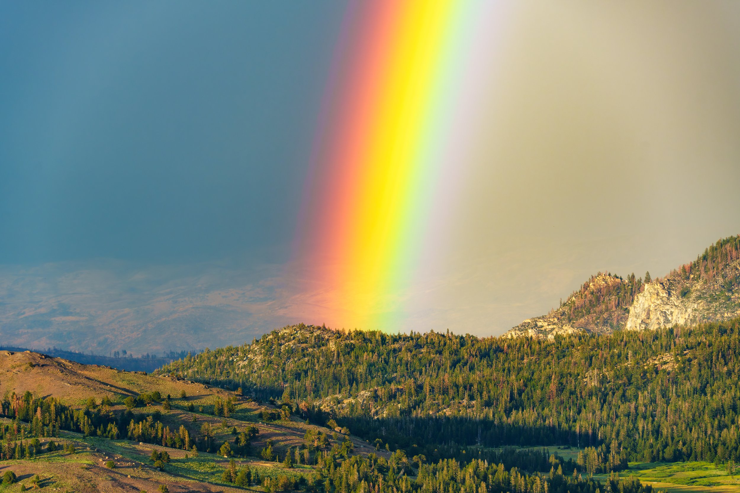 Patrick Sparks-20.jpg