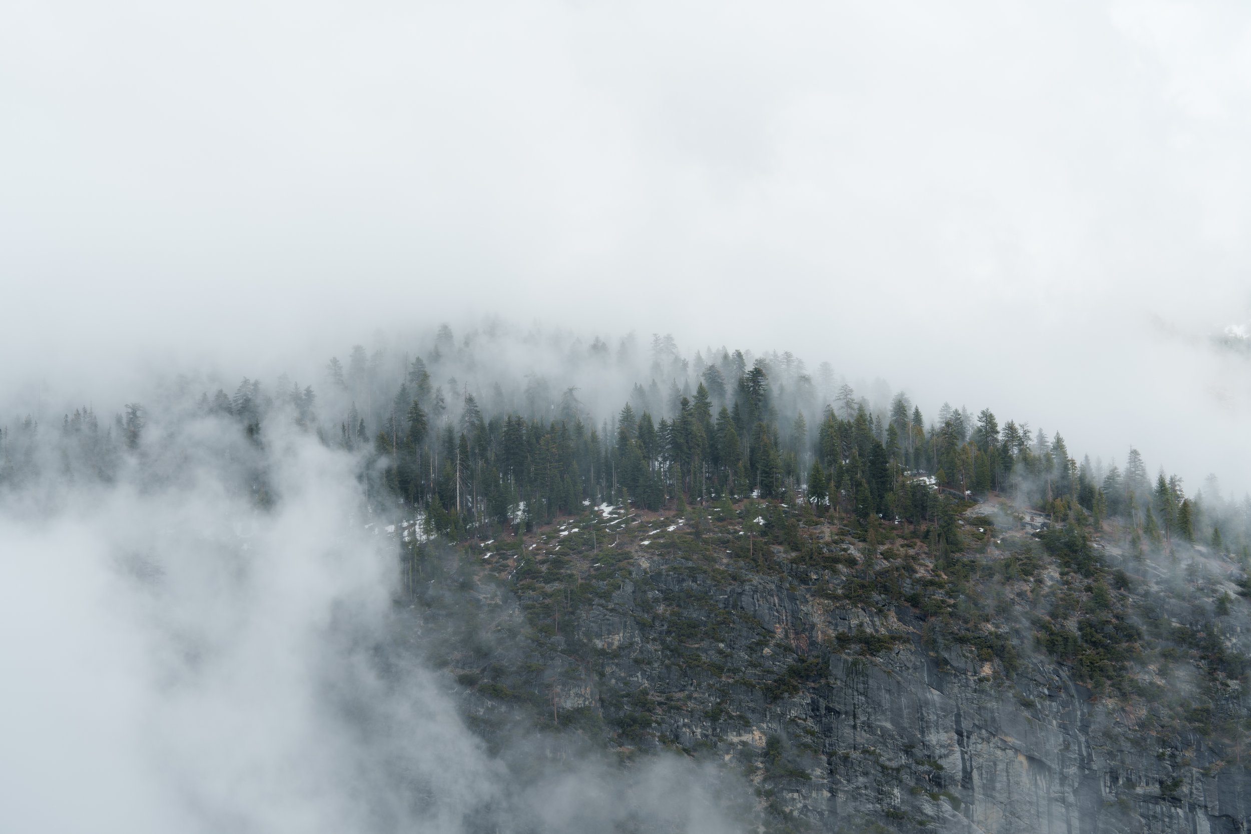 Patrick Sparks-48.jpg