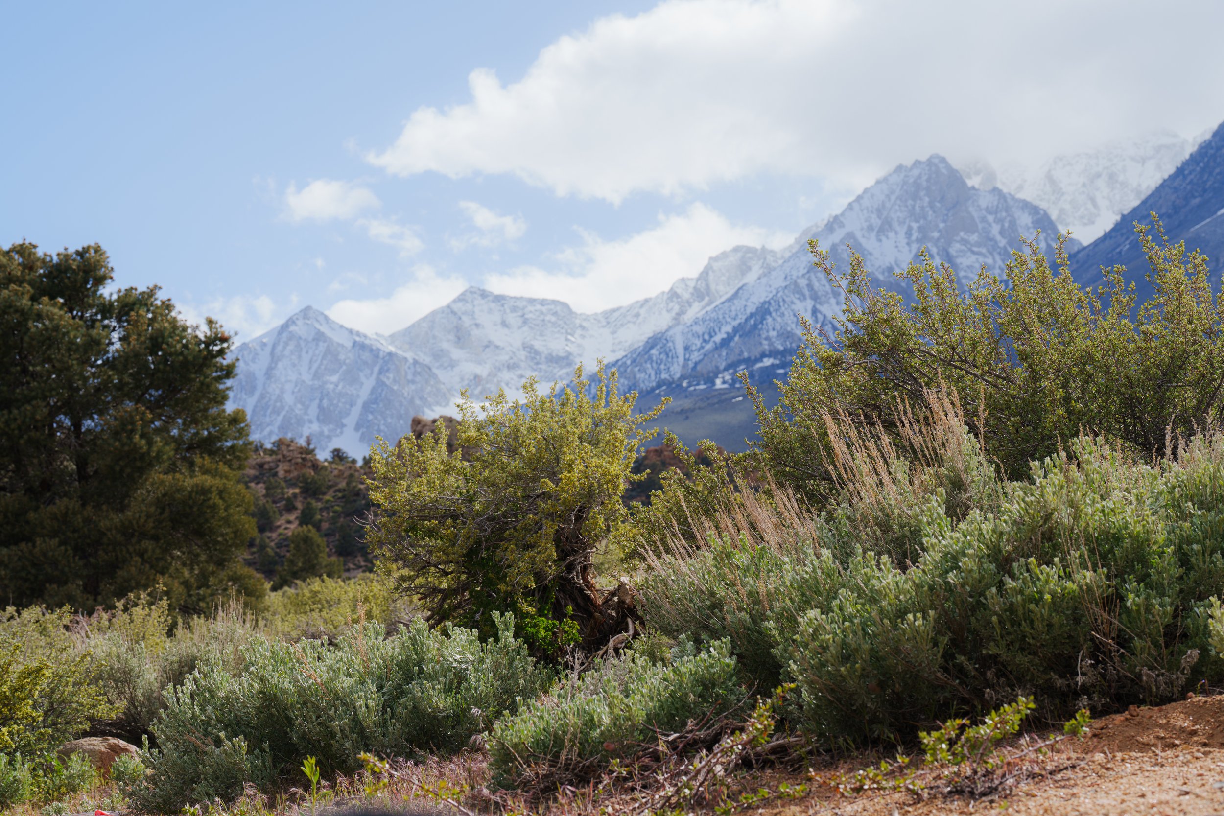 _DSC0787.jpg