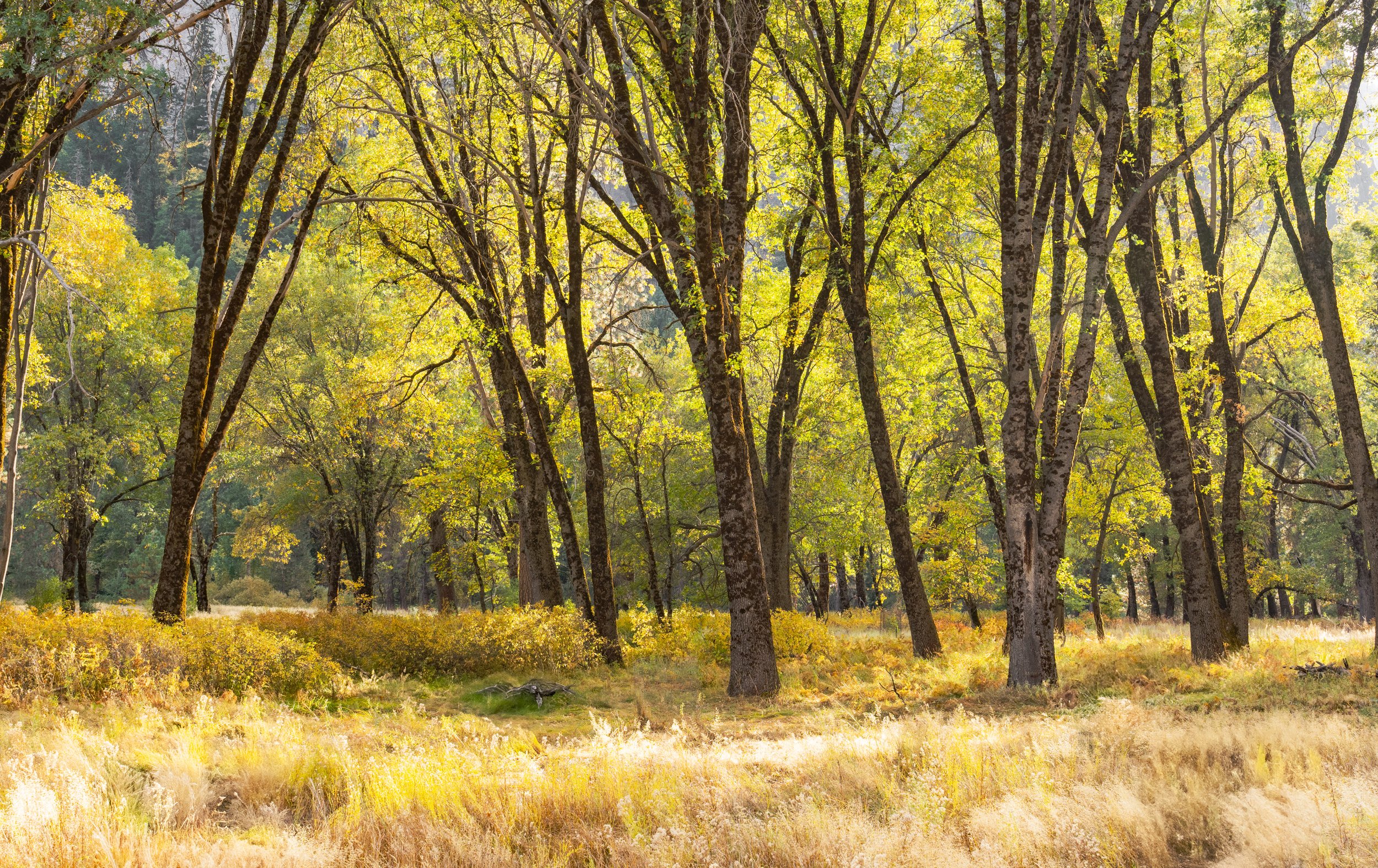 Patrick Sparks-28.jpg