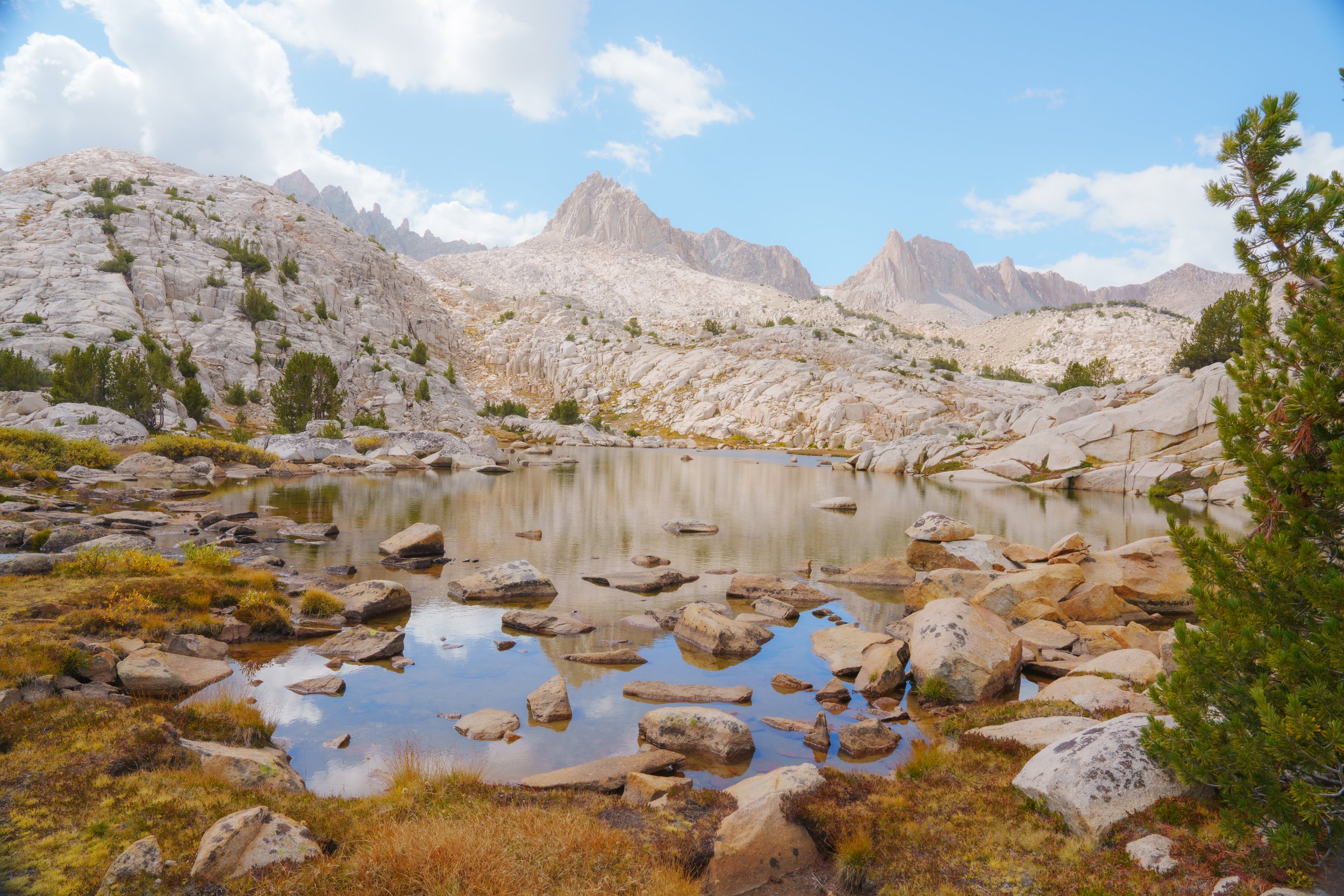 Patrick Sparks-9.jpg