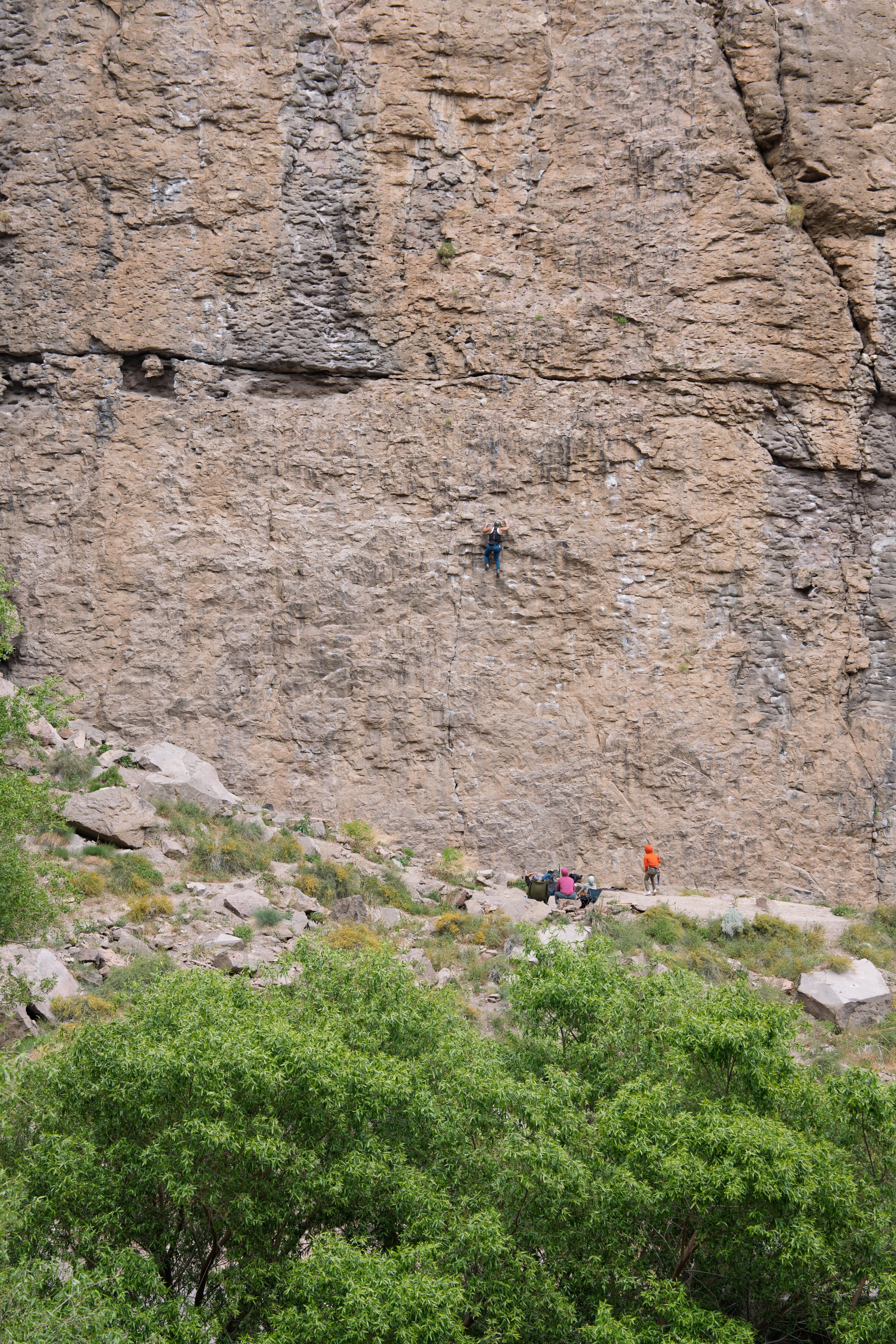 _DSC9930.jpg