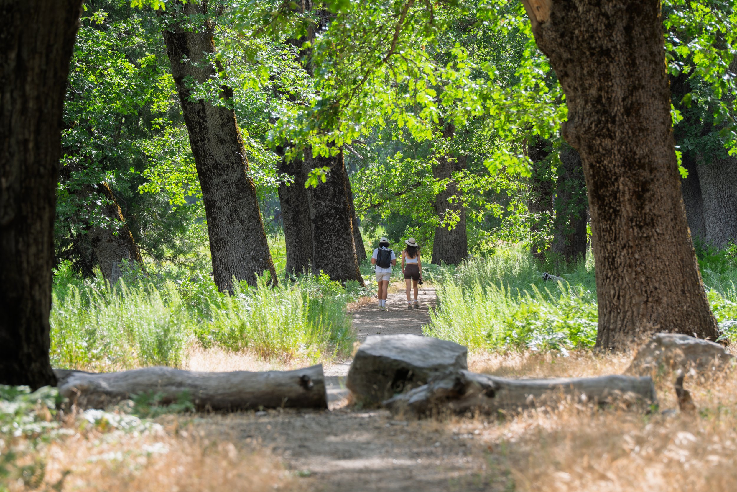 Patrick Sparks-78.jpg