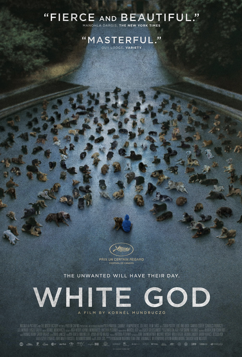 A movie poster for 'White God' shows a large group of dogs lying or sitting on a road, with a person in a blue jacket sitting among them. At the top of the poster, there are quotes describing the film as 'Fierce and beautiful' and 'Masterful.' The title 'White God' is prominently displayed in large letters near the bottom, along with the tagline 'The unwated will have their day.' The filmmakers and production credits are at the bottom of the poster.