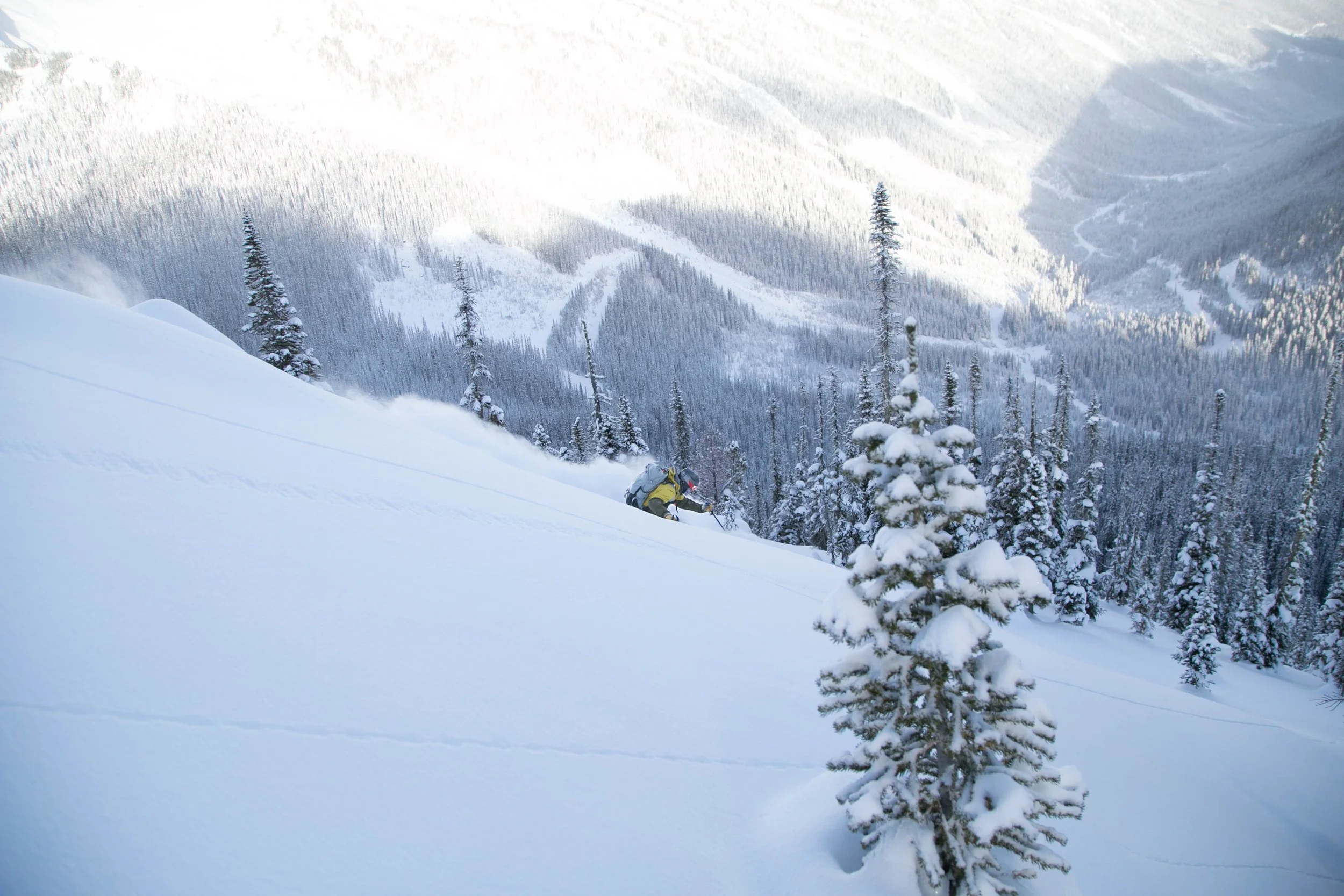 A skier in a yellow jacket skiing down a snowy mountain slope with a forest of snow-covered trees and mountainous terrain in the background.