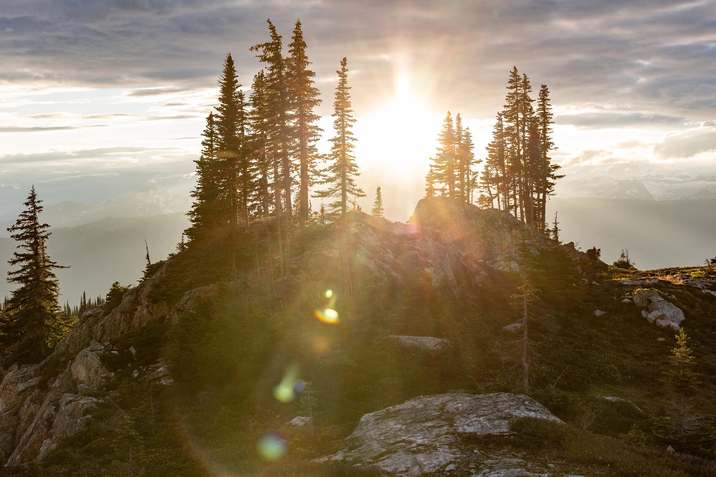 Sunrise or sunset over a mountain with tall pine trees on a rocky hill, clouds in the sky, and sun rays creating lens flare.