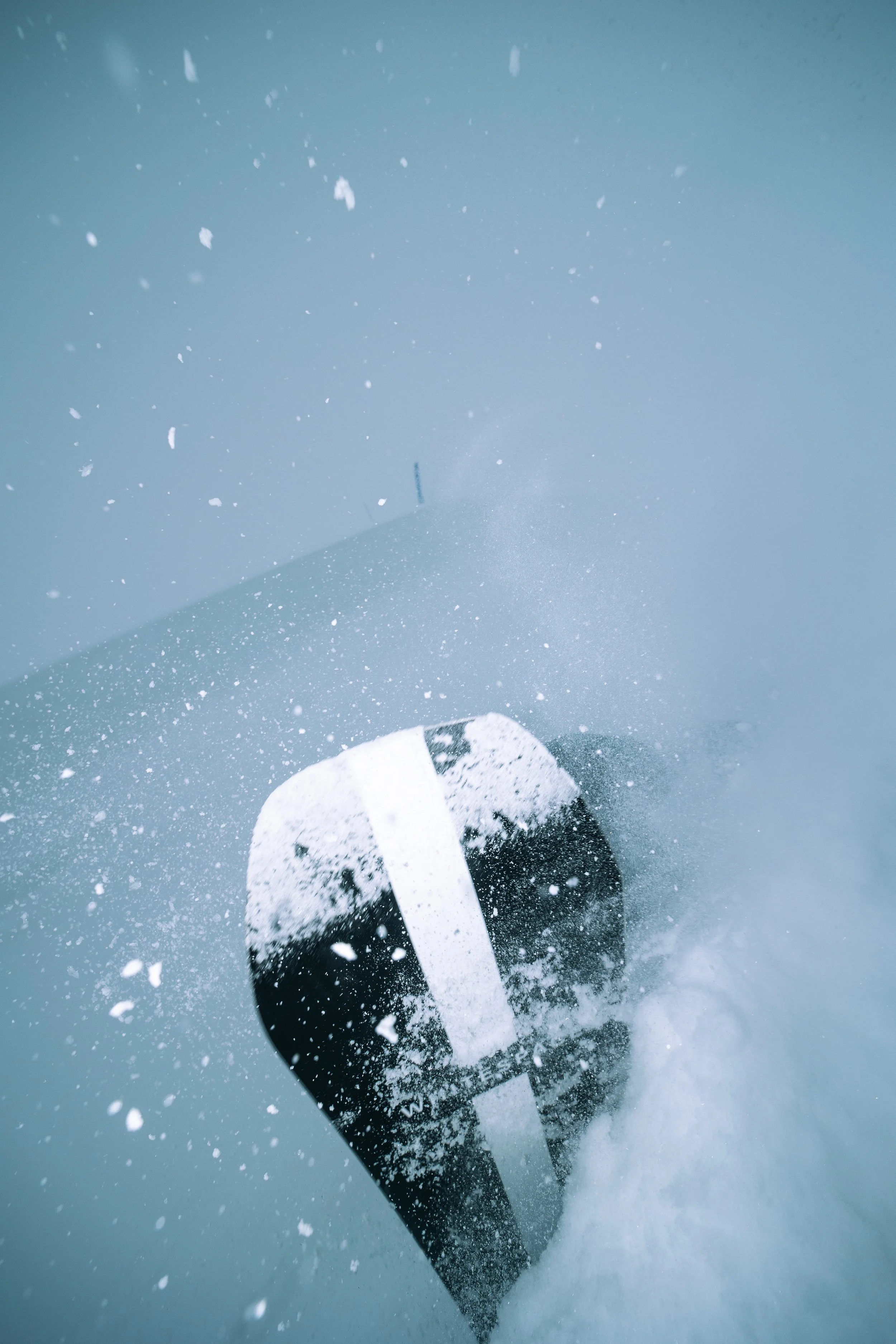 Foot wearing a snowshoe stepping onto snow-covered ground with snow falling.