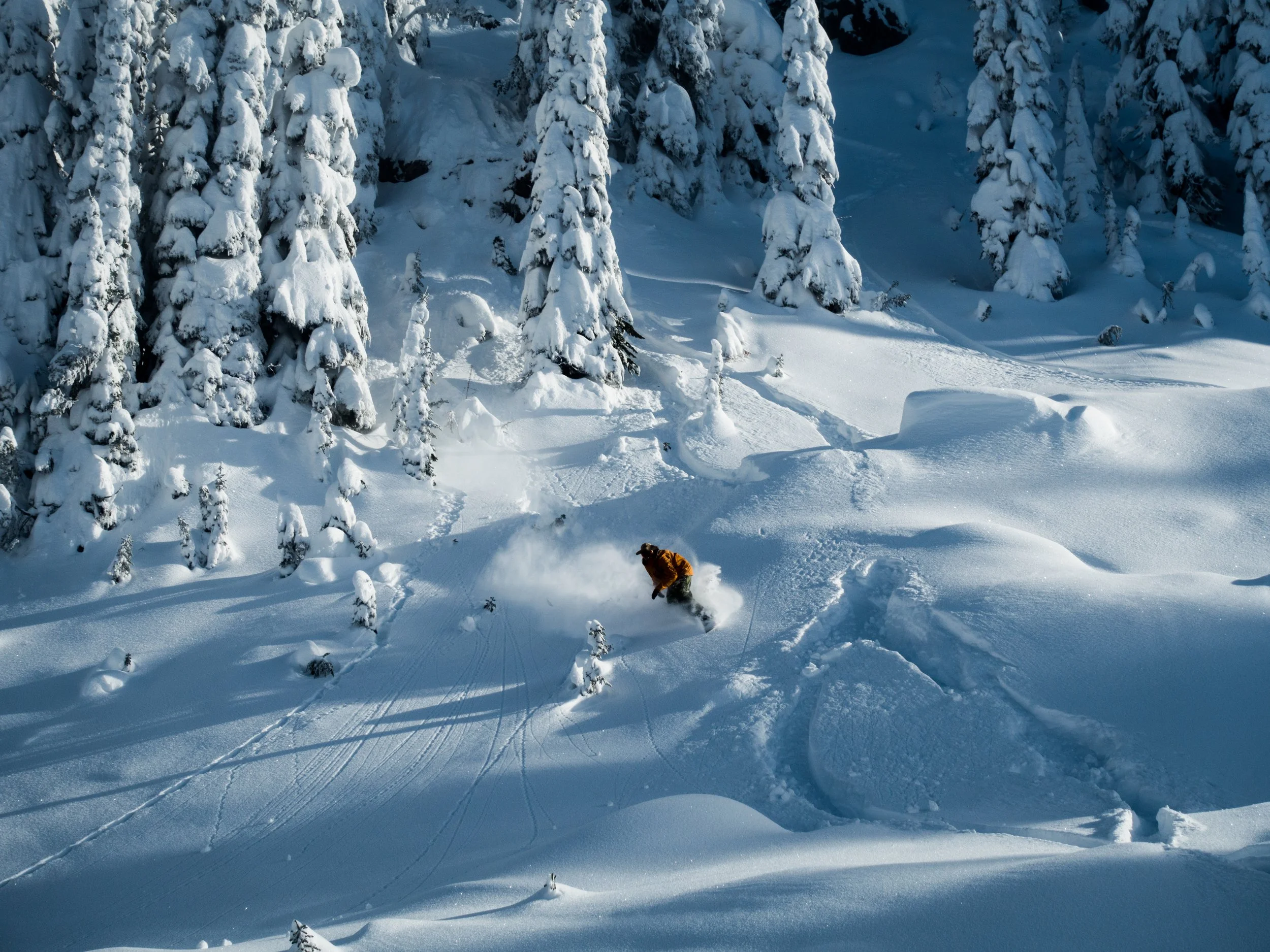 A person snowboarding in a snowy forest with tall snow-covered trees.