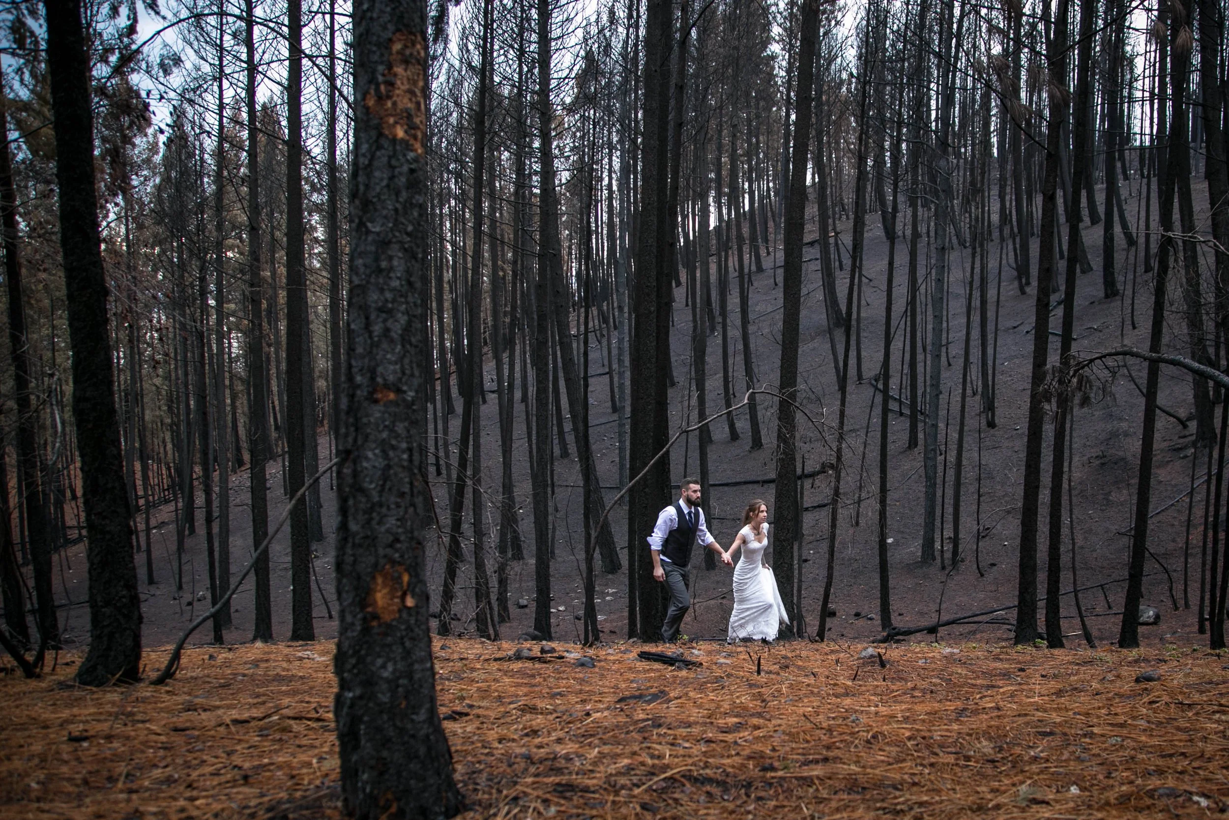 A bride and groom holding hands walking through a forest with burnt trees and dark ground.