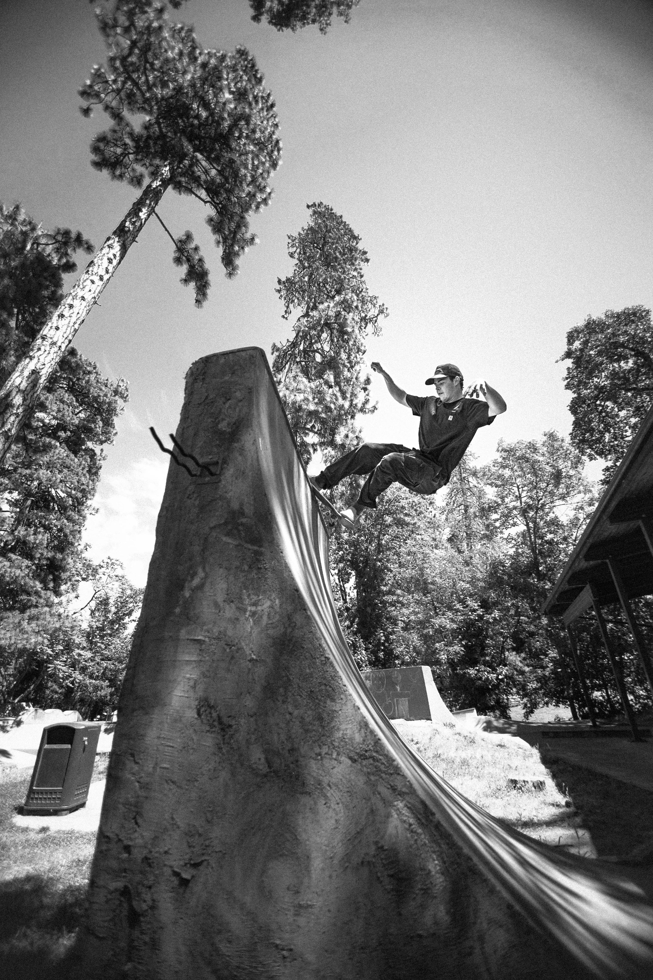 A person skateboarding on a ramp in a park with tall trees, captured in black and white.