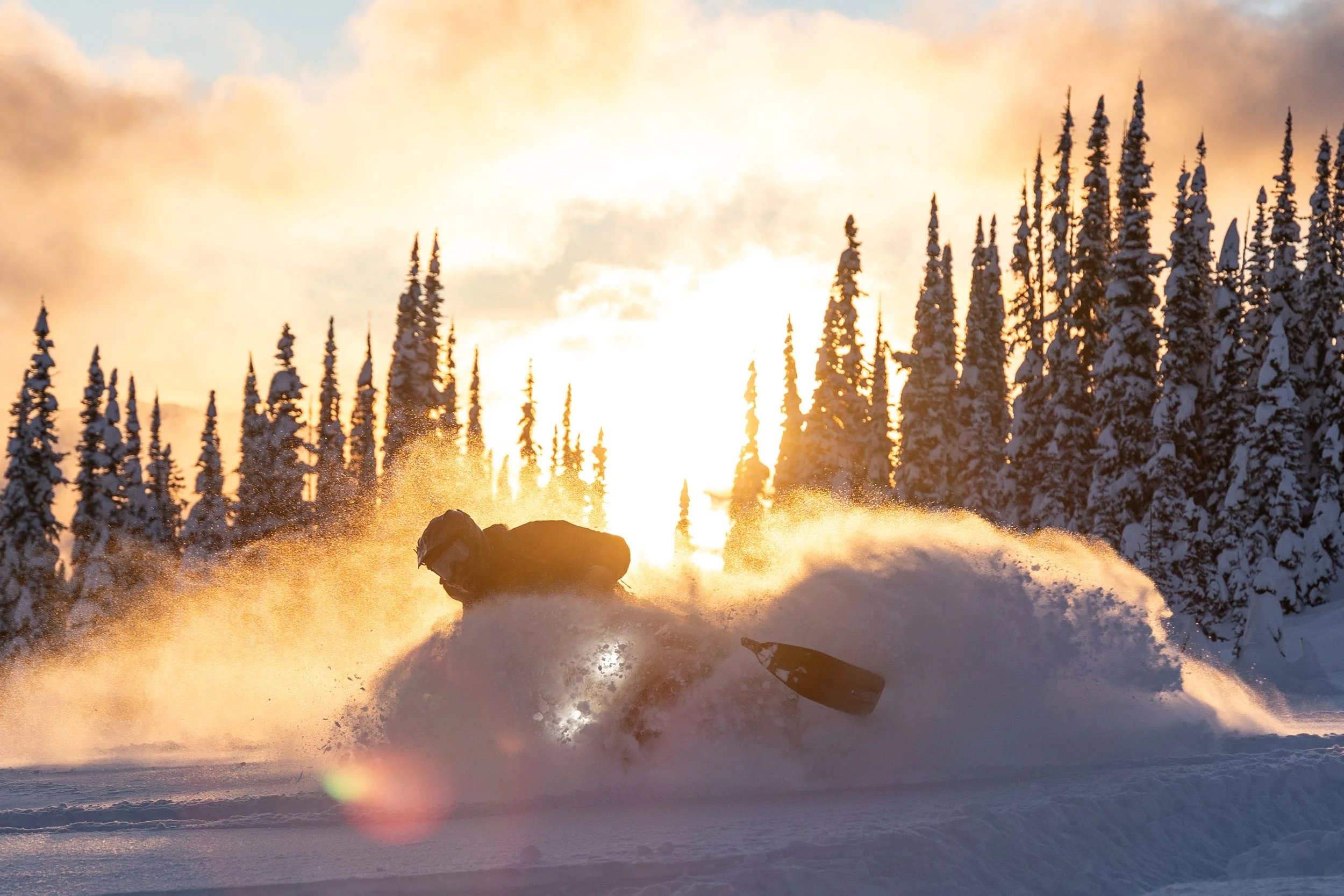 A person snowboarding down a snowy slope during sunset with snow-covered trees in the background.