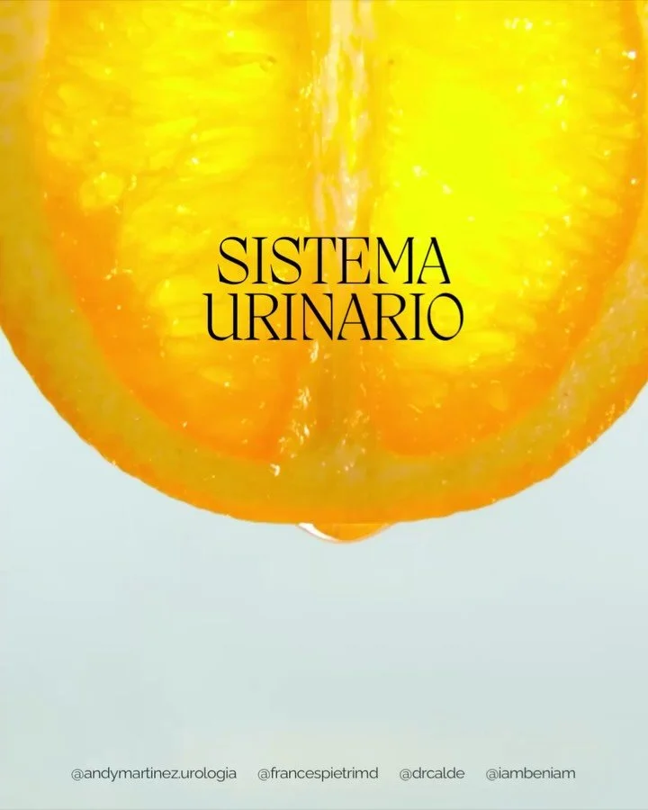 Las condiciones urinarias 🚻 son muy comunes, pero con frecuencia se normalizan o se confunden entre s&iacute;.

Los s&iacute;ntomas urinarios no deben tratarse todos igual. Identificar la causa correcta evita antibi&oacute;ticos innecesarios y retra