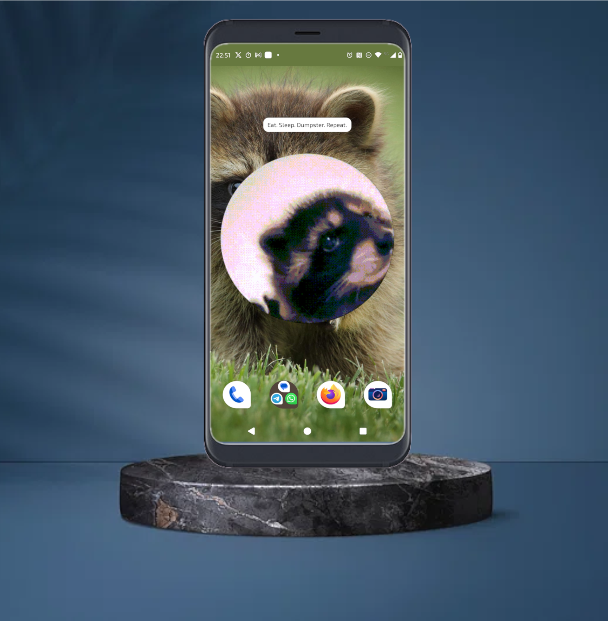 Animated raccoon widget app running on Android phone screen