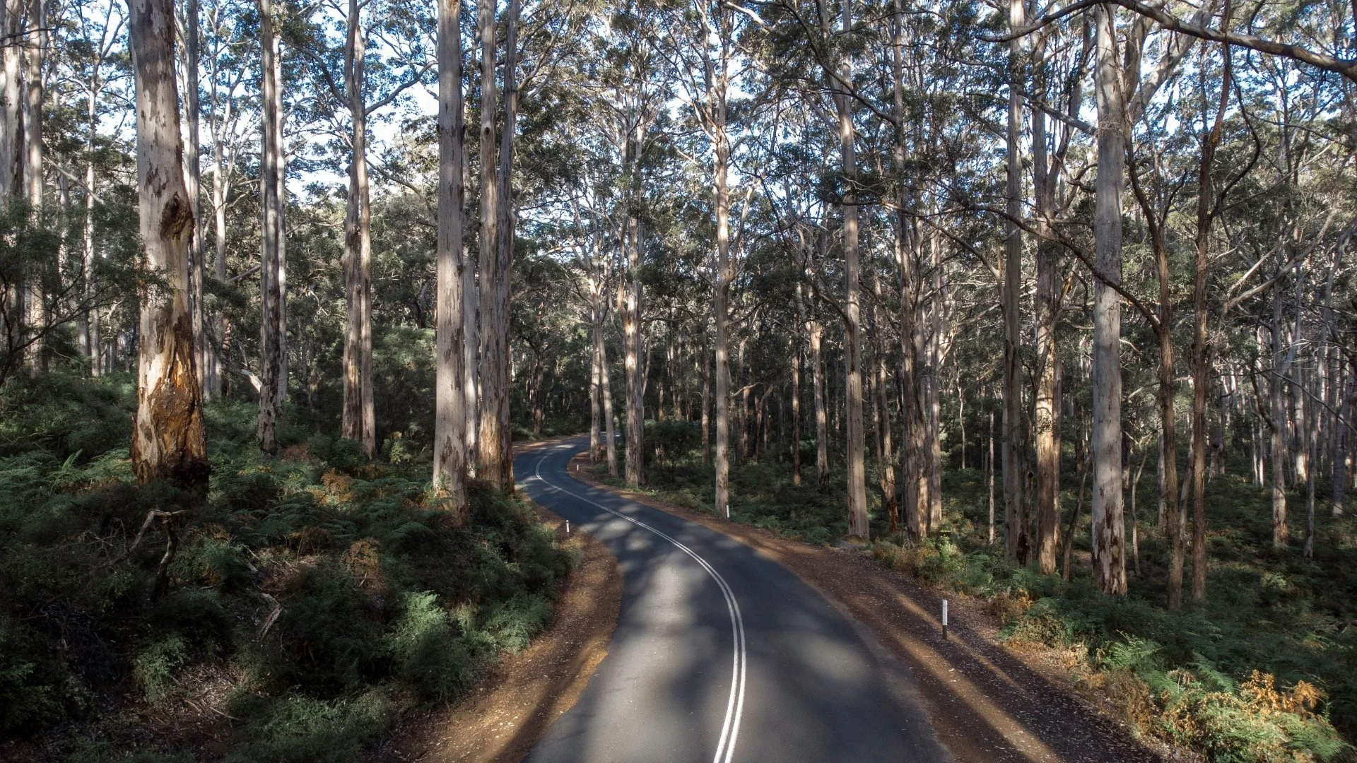 Margaret River Boranup Forest Drive