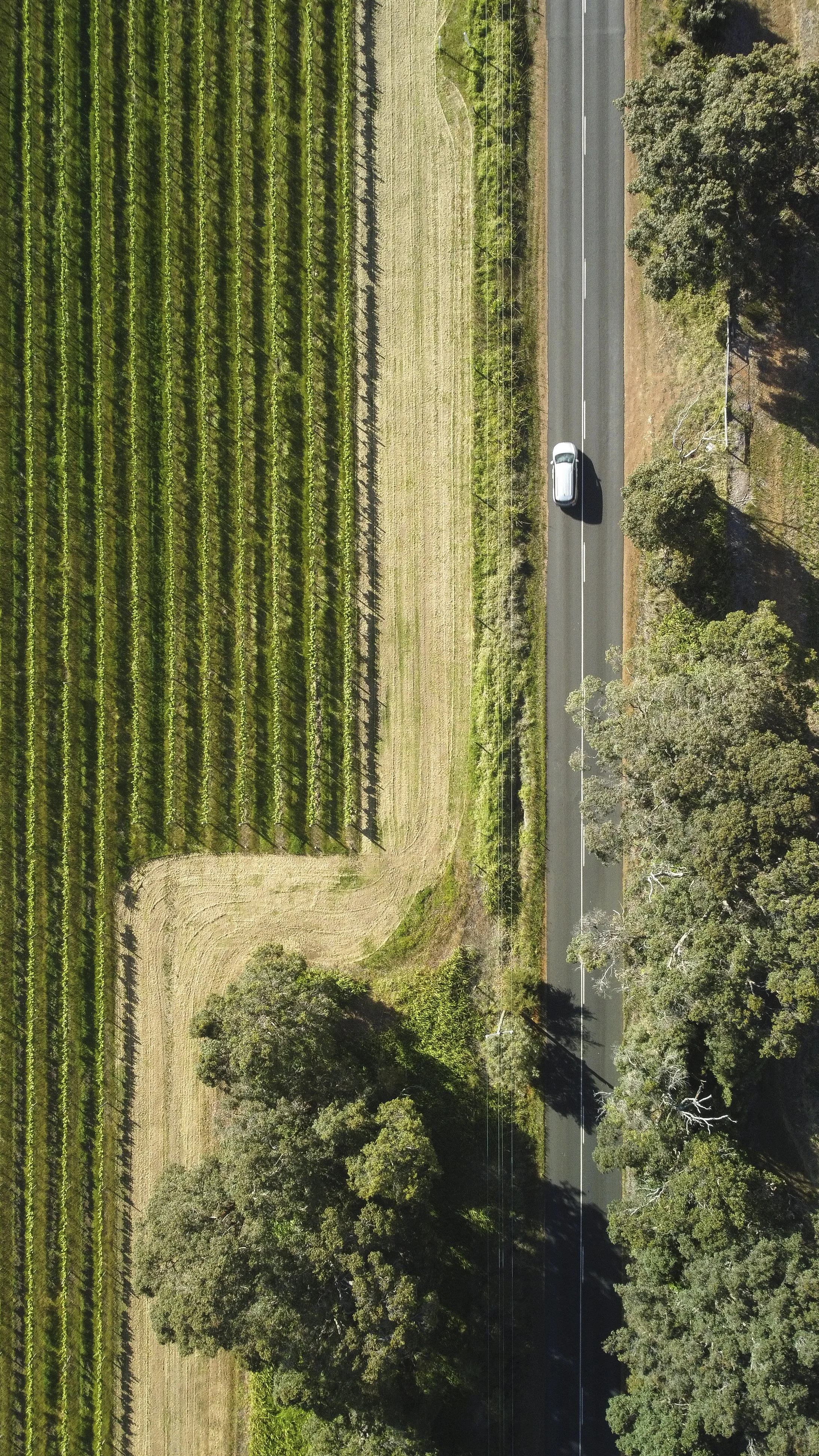 Aerial photo of bonjour margaret river private wine tour in margaret river.