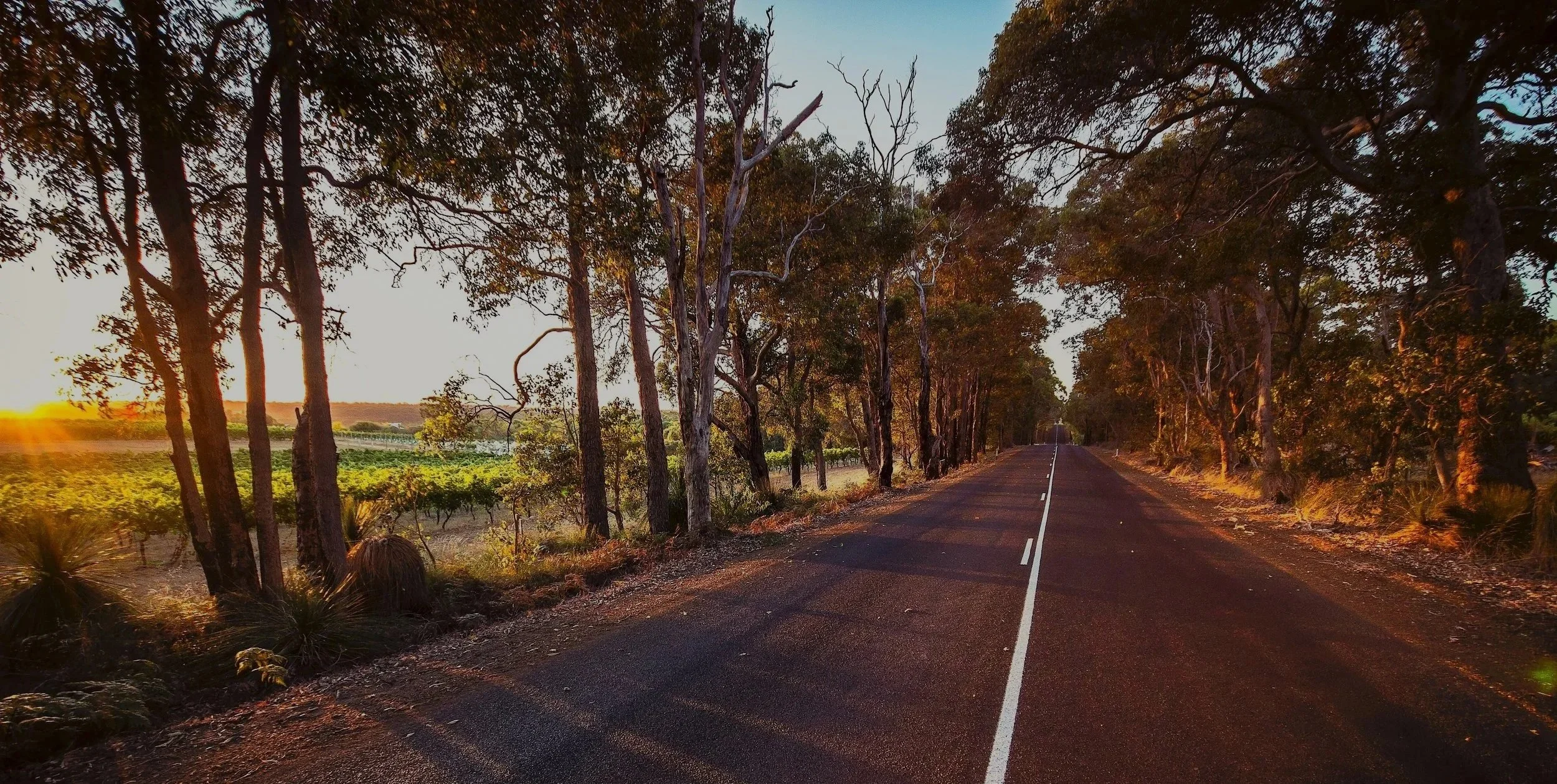Sunrise Margaret River Caves Road Touring