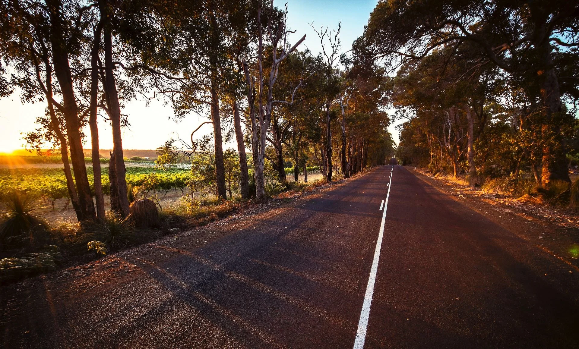 Sunrise Margaret River Caves Road Touring