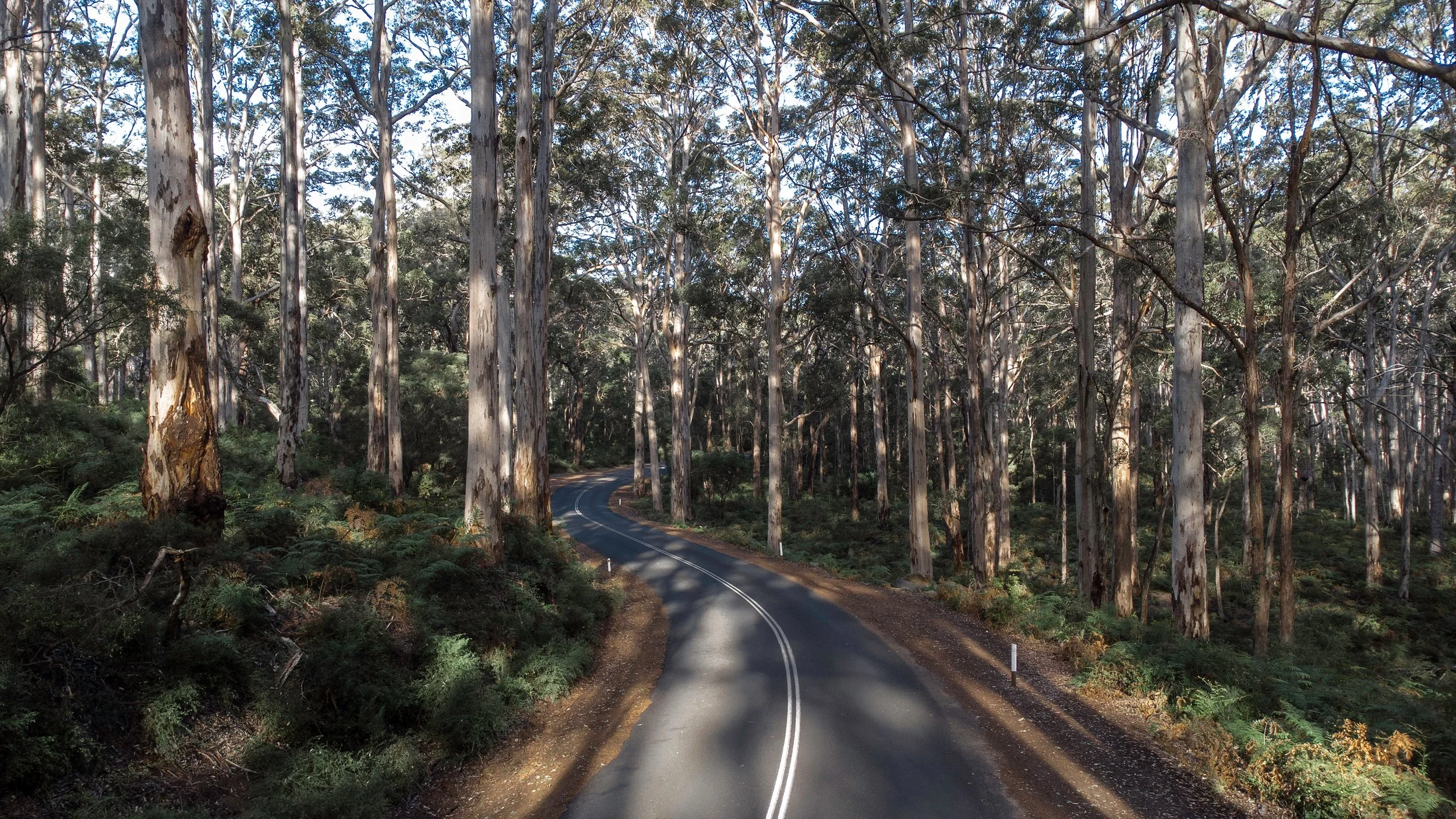 Margaret River Boranup Forest Drive