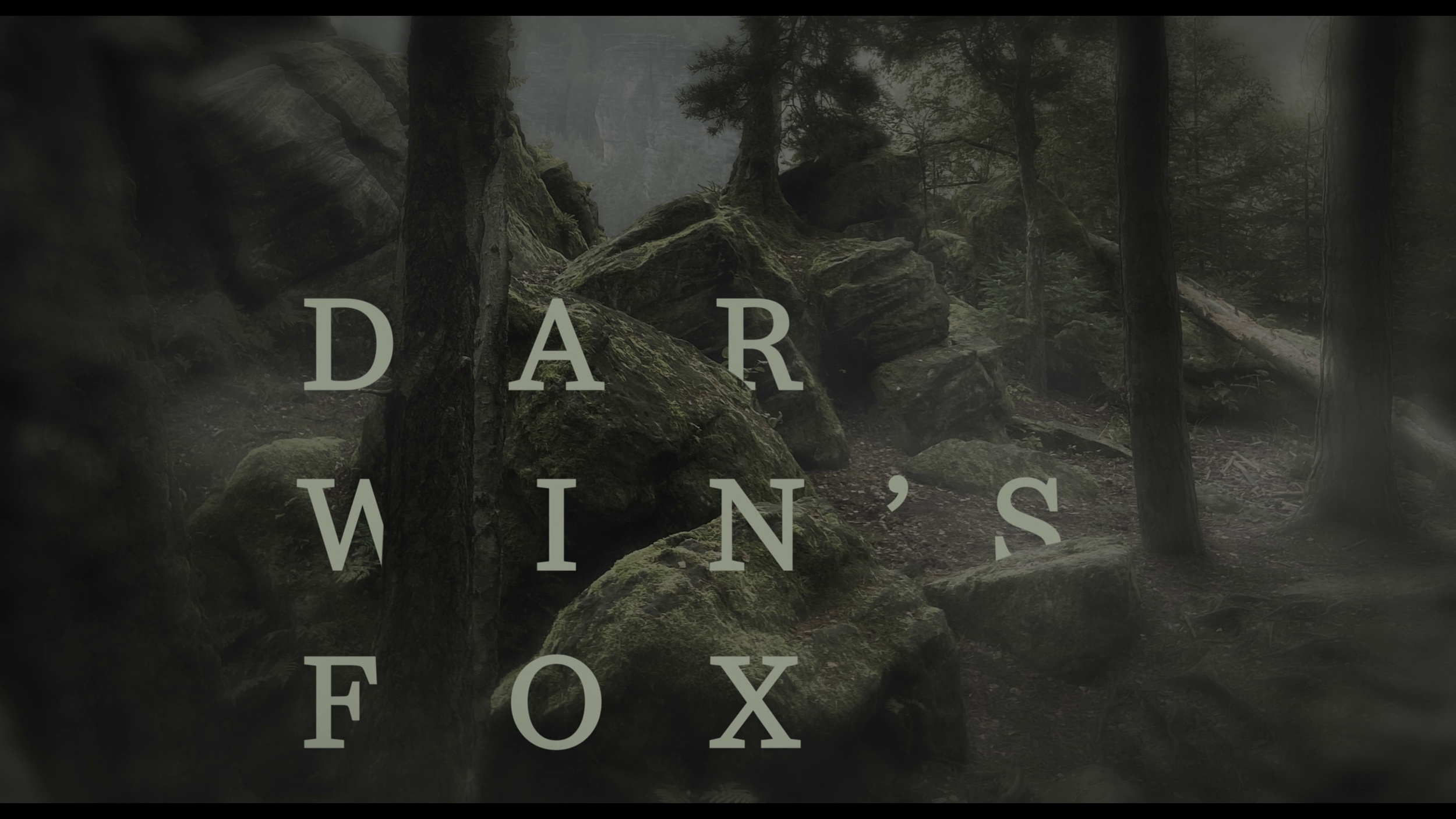 Cast: Robert Seeliger @robert.seeliger, Cooper Dillon @the_cooper_dillon
Casting: Emrah Ertem
Produktion: @andere_filme & @onpointproductionberlin
Produzenten: Thomas Prudlo, Ben Scharf @dr.sharpwrite, Martin Hermann, @freezendeezenbaconsqueezen, Max