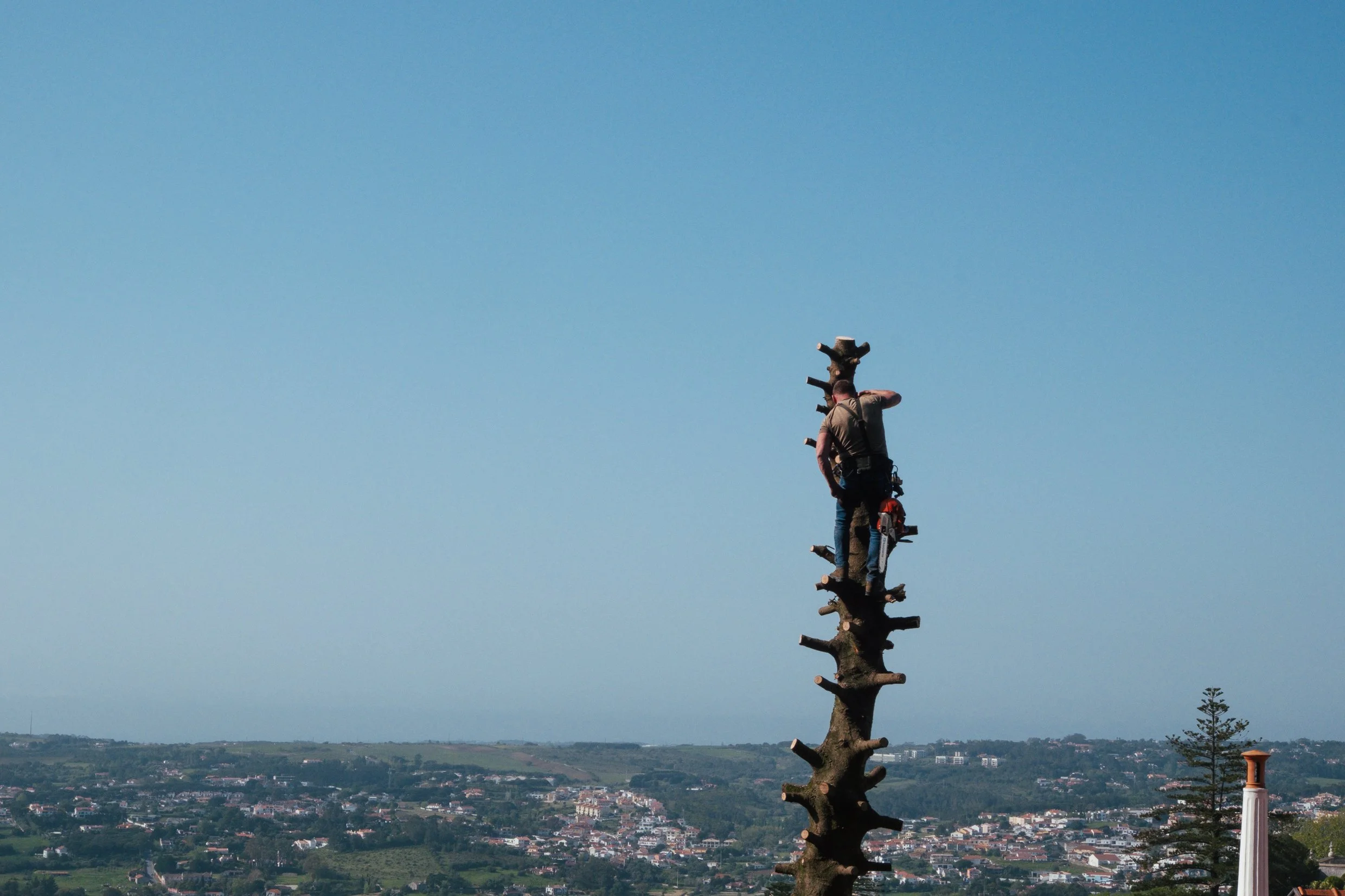 DSCF6549-2.jpg